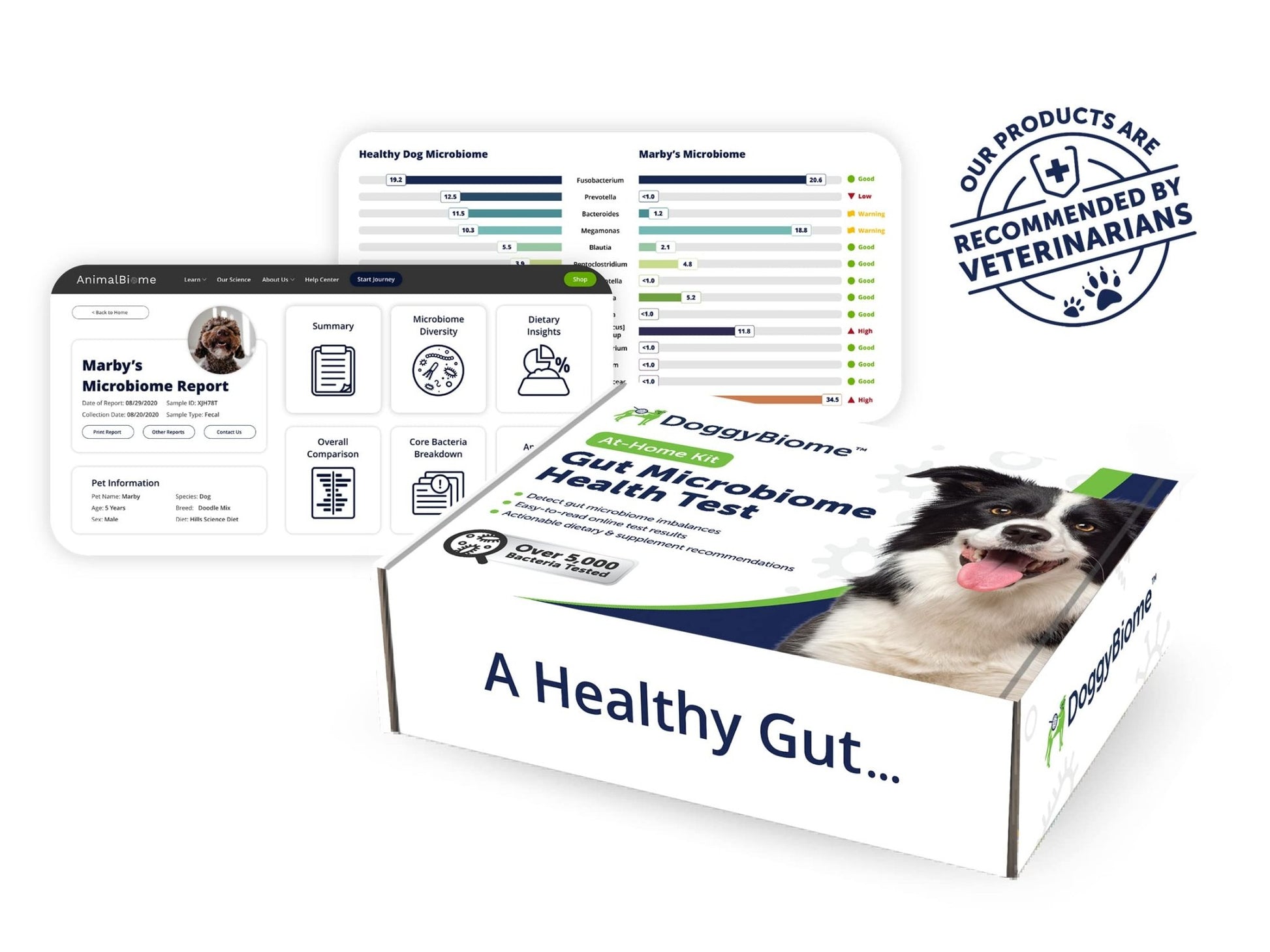 AnimalBiome Dog Gut Health Test – DoggyBiome At Home Stool Testing Kit, Canine Fecal Analysis for Digestive Issues, Diarrhea & Allergy Insights w/Personalized Report & Custom Plan (Dogs in US) - OzHealthStandard