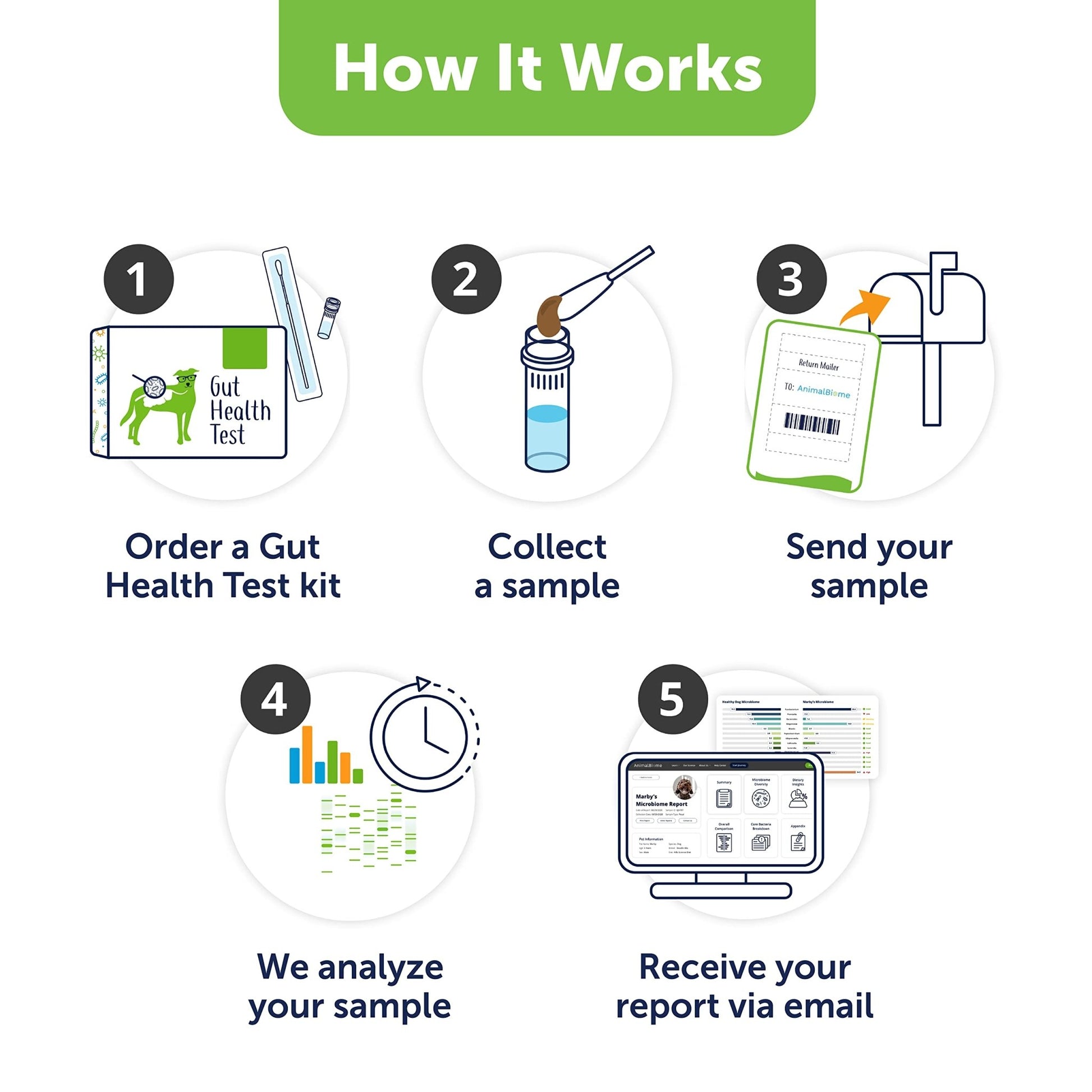 AnimalBiome Dog Gut Health Test – DoggyBiome At Home Stool Testing Kit, Canine Fecal Analysis for Digestive Issues, Diarrhea & Allergy Insights w/Personalized Report & Custom Plan (Dogs in US) - OzHealthStandard