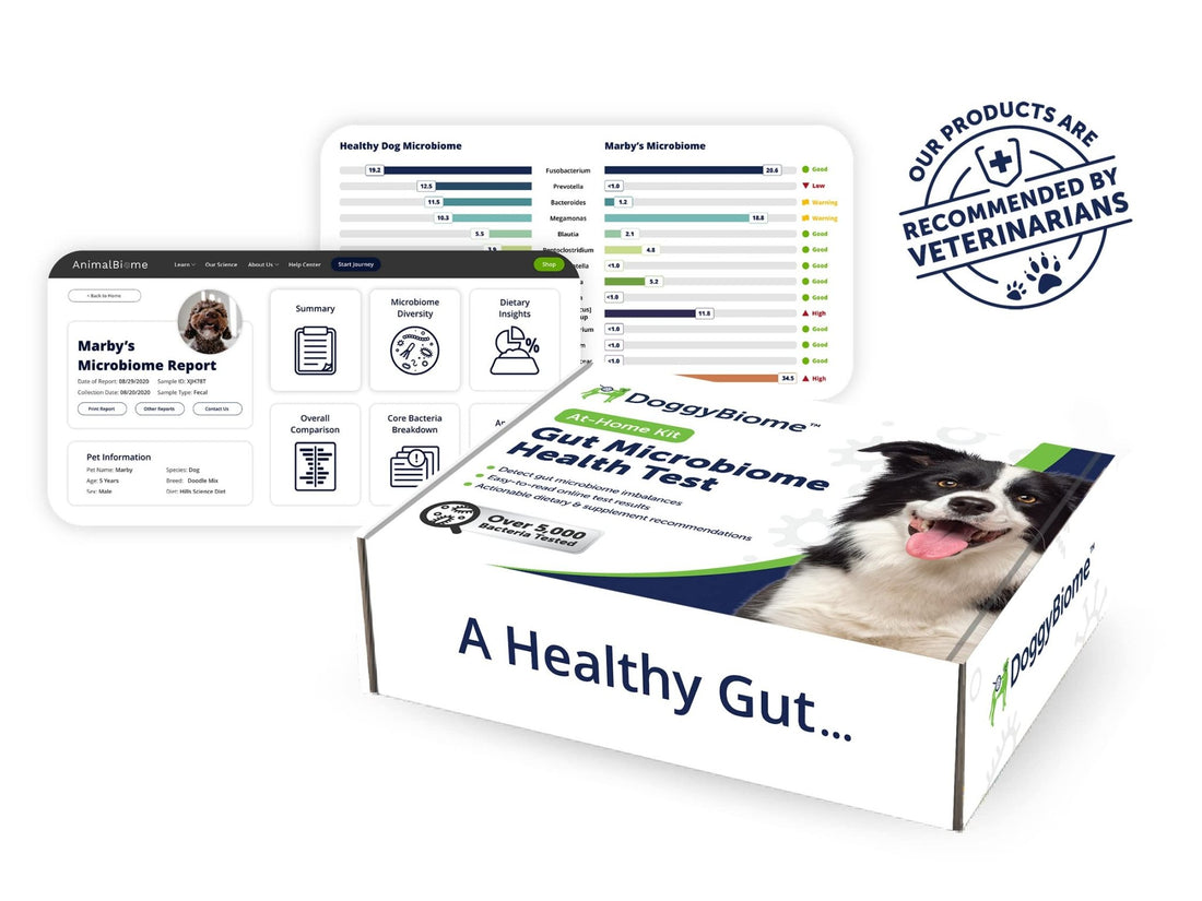 AnimalBiome Dog Gut Health Test – DoggyBiome At Home Stool Testing Kit, Canine Fecal Analysis for Digestive Issues, Diarrhea & Allergy Insights w/Personalized Report & Custom Plan (Dogs Outside US) - OzHealthStandard