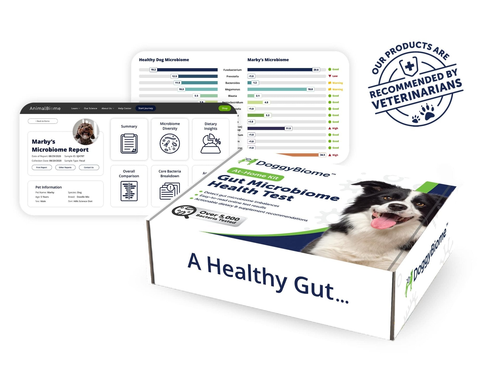 AnimalBiome Dog Gut Health Test – DoggyBiome At Home Stool Testing Kit, Canine Fecal Analysis for Digestive Issues, Diarrhea & Allergy Insights w/Personalized Report & Custom Plan (Dogs Outside US) - OzHealthStandard