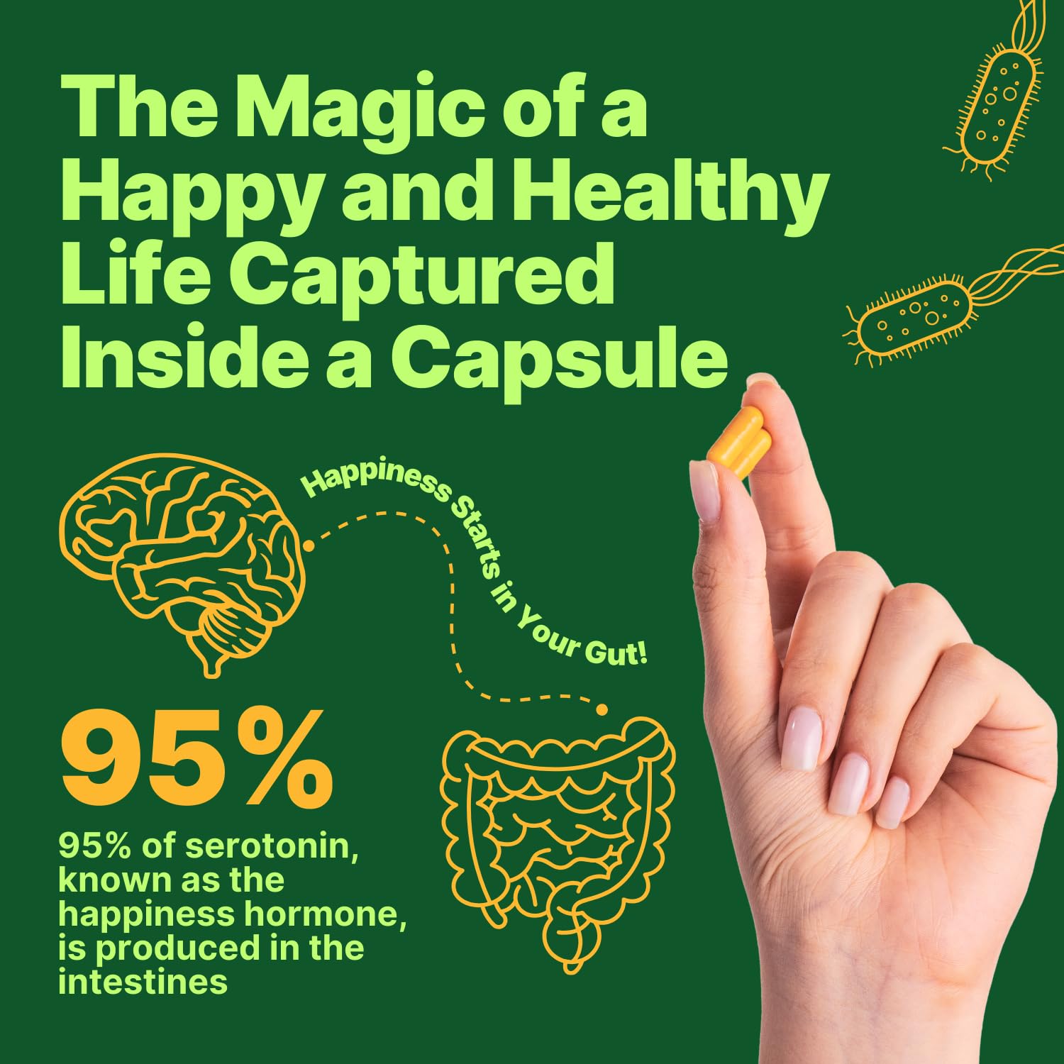 anocin Akkermansia Muciniphila + Probiotic, Postbiotic & Inulin - Gut Health Supplement for Digestion, Immune Support - 10 Billion CFU, Vegan & Gluten-Free - OzHealthStandard