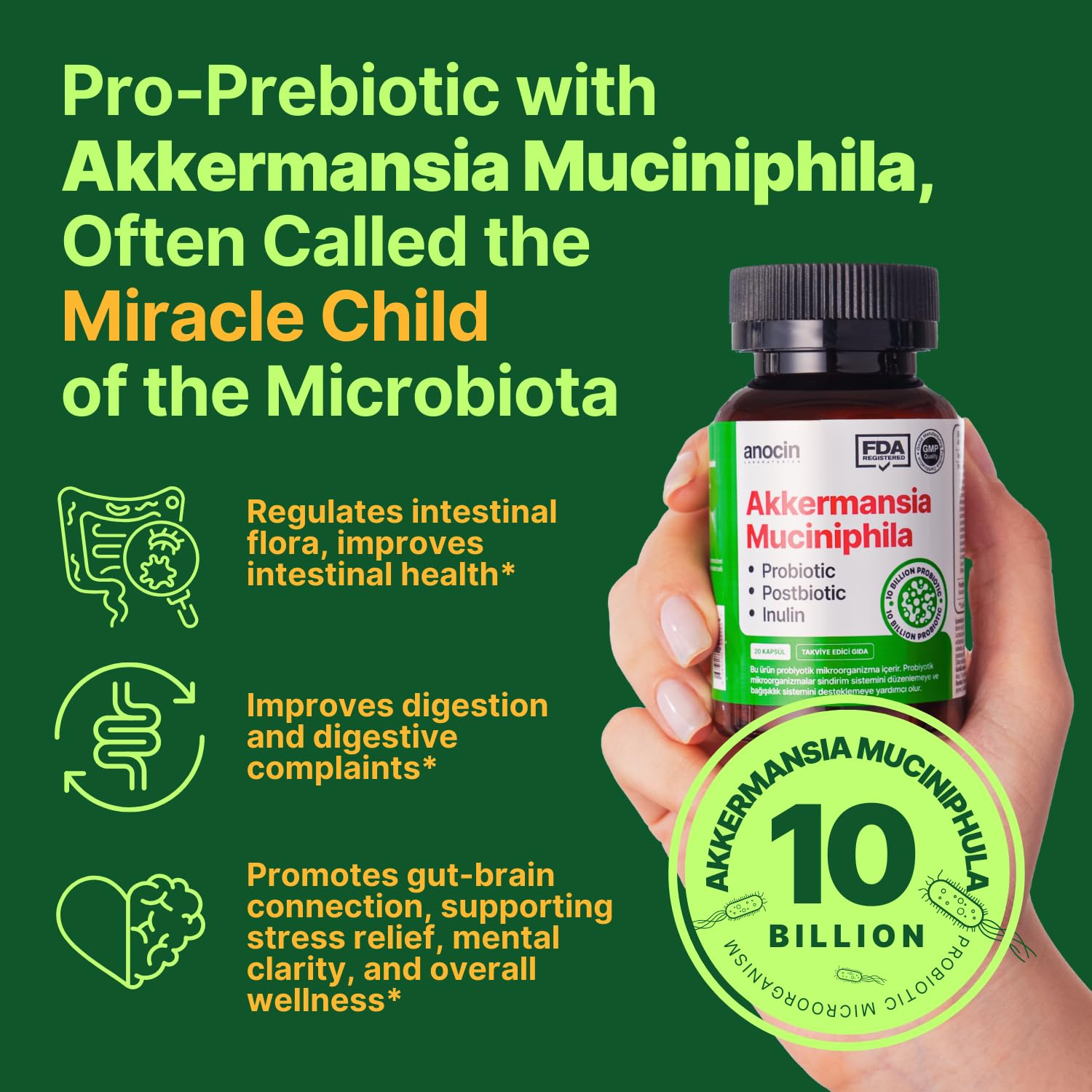 anocin Akkermansia Muciniphila + Probiotic, Postbiotic & Inulin - Gut Health Supplement for Digestion, Immune Support - 10 Billion CFU, Vegan & Gluten-Free - OzHealthStandard