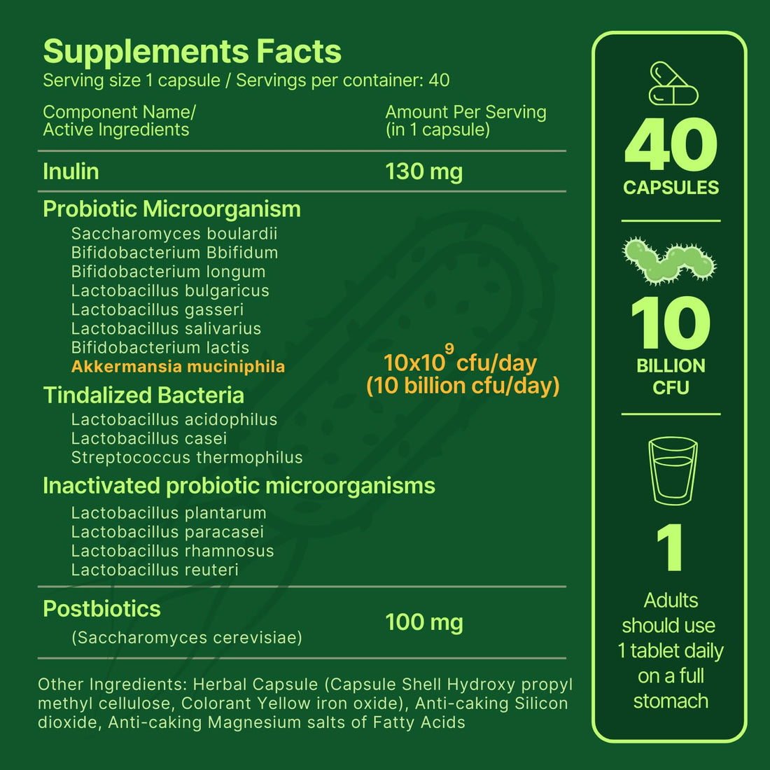 anocin Akkermansia Muciniphila + Probiotic, Postbiotic & Inulin - Gut Health Supplement for Digestion, Immune Support - 10 Billion CFU, Vegan & Gluten-Free - OzHealthStandard