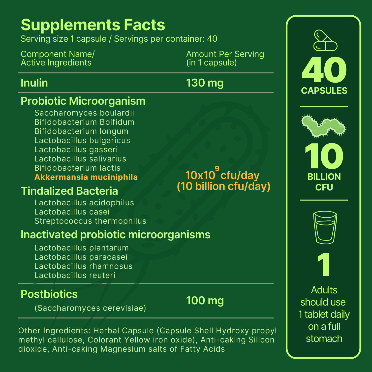 anocin Akkermansia Muciniphila + Probiotic, Postbiotic & Inulin - Gut Health Supplement for Digestion, Immune Support - 10 Billion CFU, Vegan & Gluten-Free - OzHealthStandard