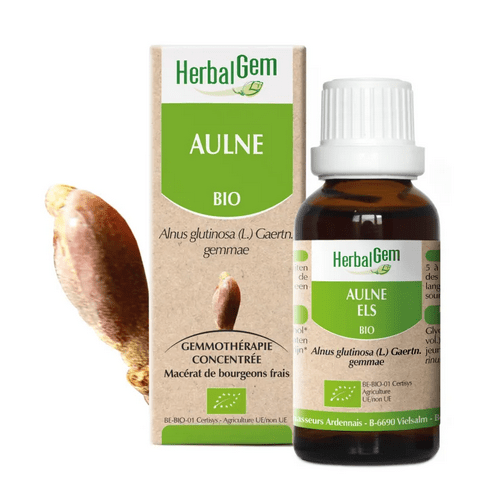 Aulne BIO Macerat mère bourgeons Flacon 30 ml HERBALGEM - OzHealthStandard