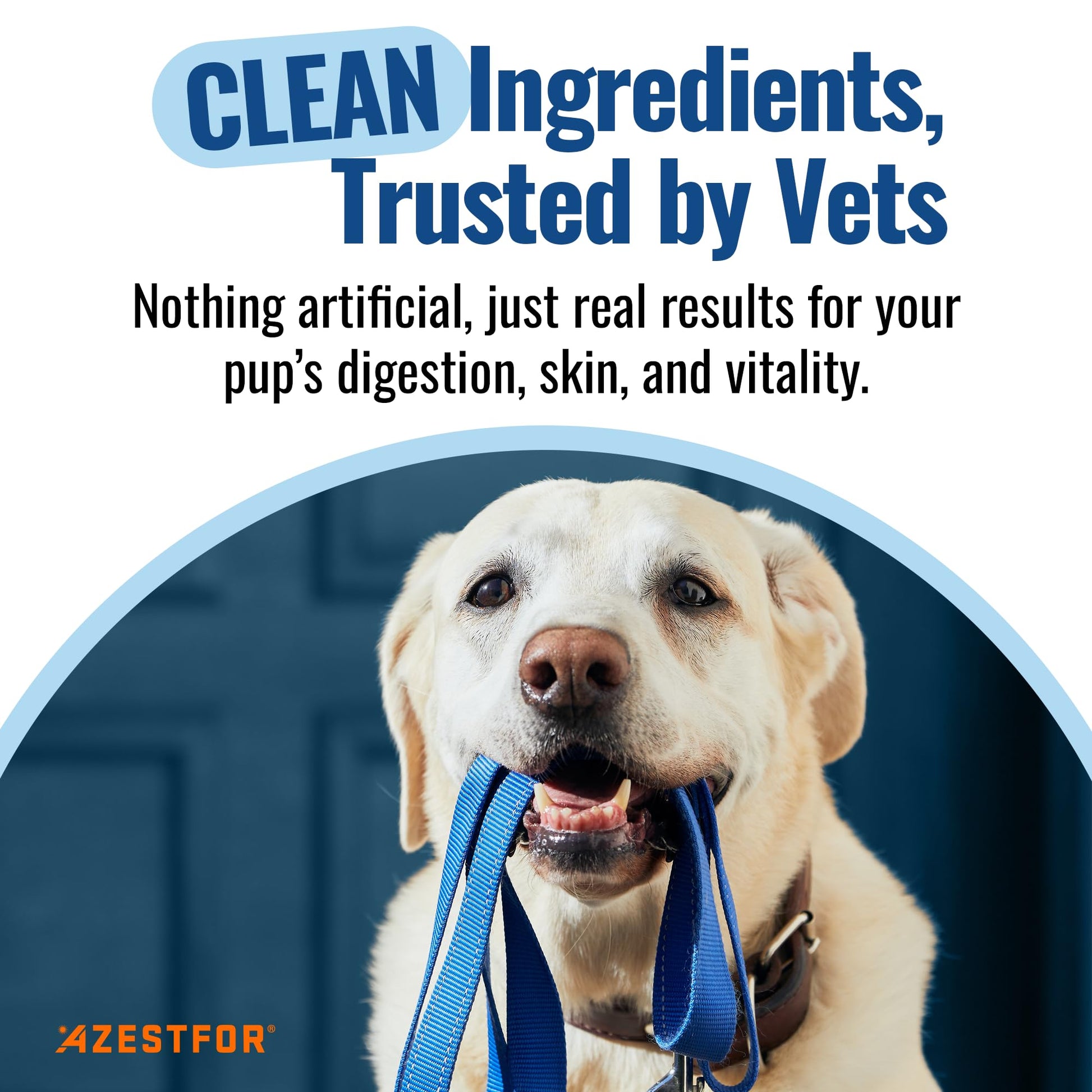Azestfor Gut Health Supplement for Dogs – 3 in 1 Probiotic, Prebiotic & Postbiotic Blend – Supports Digestion, Immunity & Skin – Easy-to-Use Powder – for All Breeds & Sizes – 60g (30 Servings) - OzHealthStandard