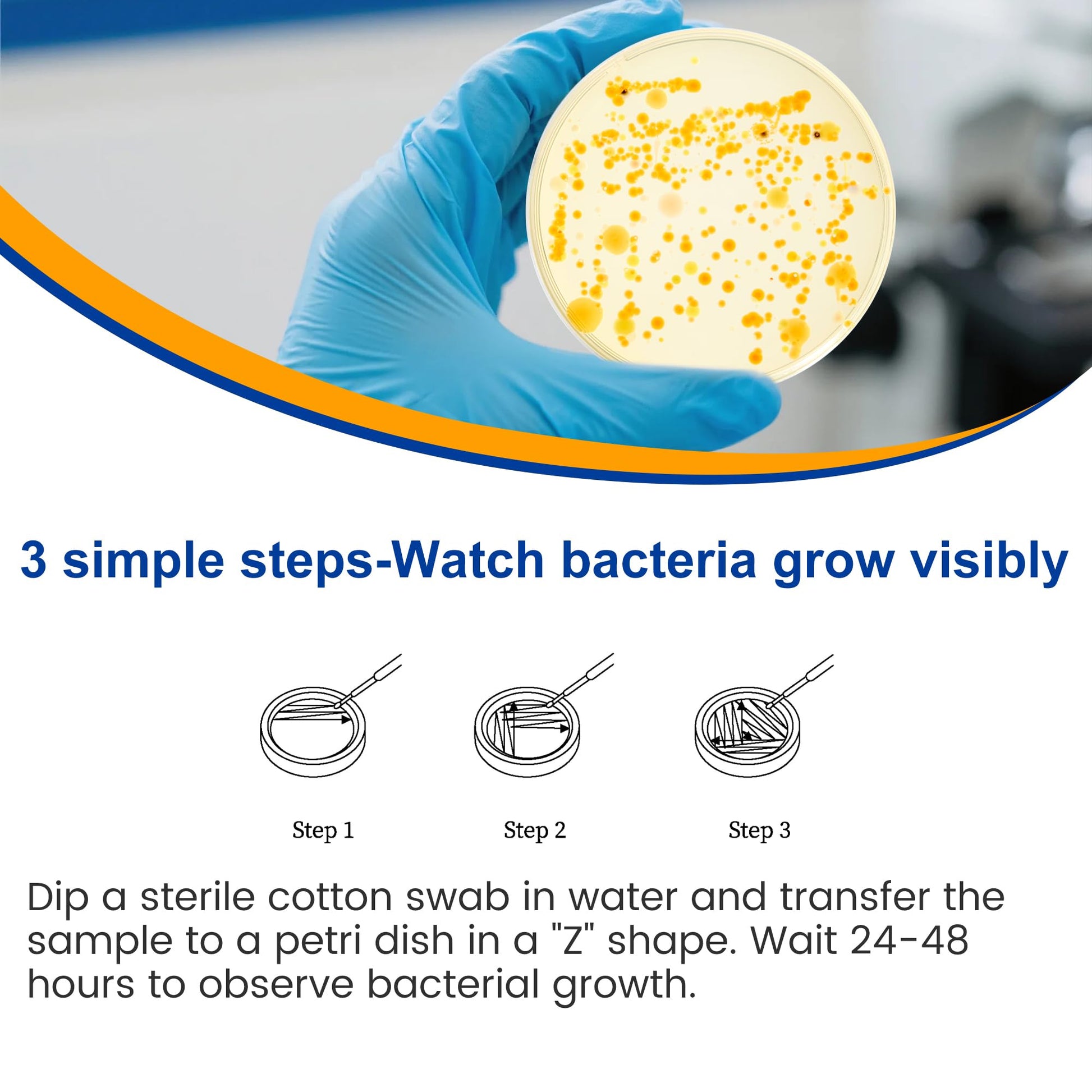 Bacteria Test Kits for Drinking Water - 12 Tests Detect Coliform, E.coli & All Bacteria | Home Quality Testing Kit for Well, Tap, Pool, Hot Tub & City Water | Easy DIY Tester with Free Lab Analysis - OzHealthStandard