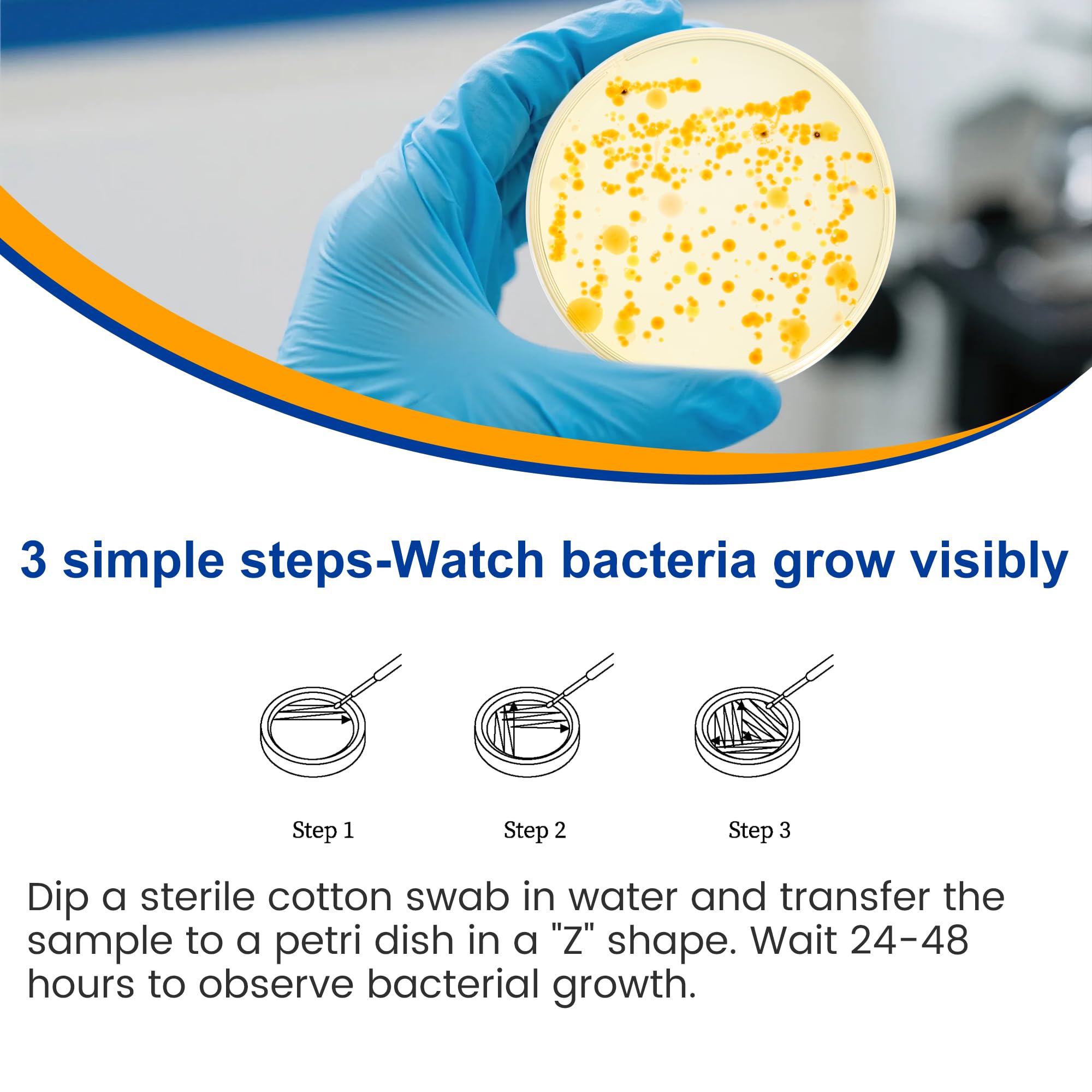 Bacteria Test Kits for Drinking Water - 12 Tests Detect Coliform, E.coli & All Bacteria | Home Quality Testing Kit for Well, Tap, Pool, Hot Tub & City Water | Easy DIY Tester with Free Lab Analysis - OzHealthStandard