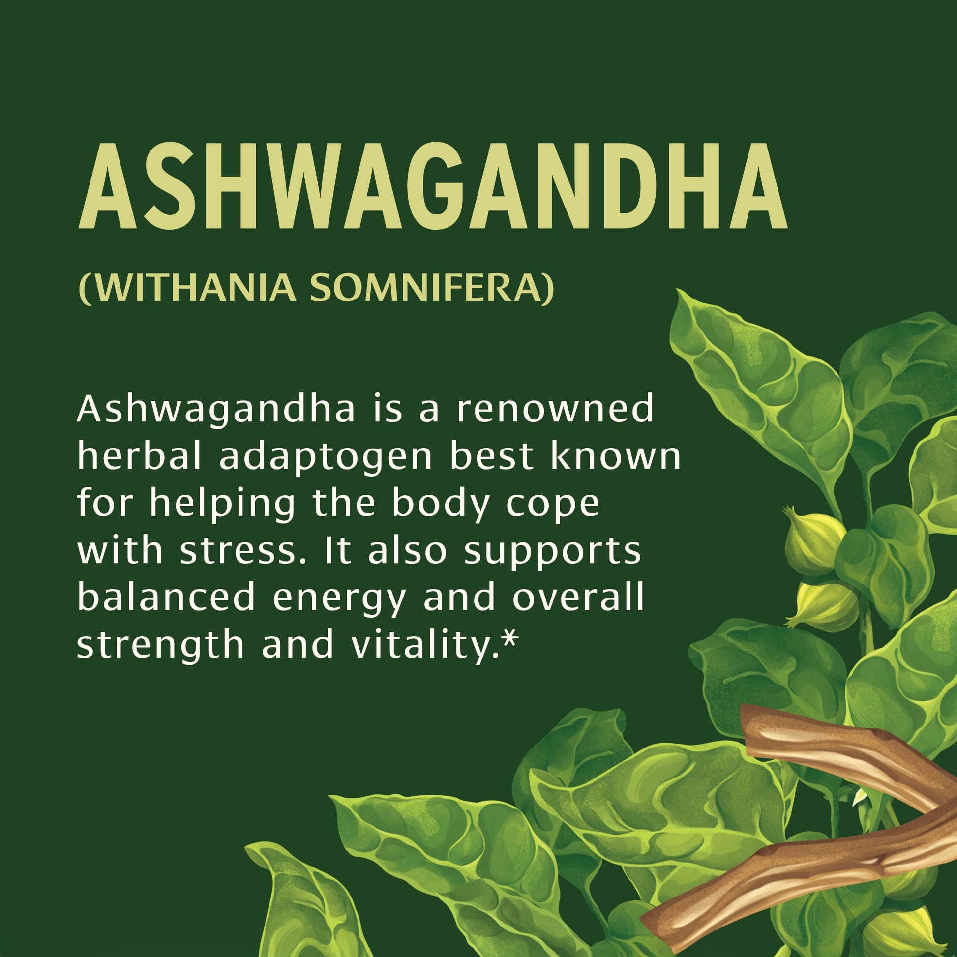 Banyan Botanicals Organic Ashwagandha - 1000mg per Serving - Cortisol Manager & Stress Relief Supplement - Adrenal Support for Mood, Restful Sleep & Muscle Recovery - 180 Tablets - Non-GMO, Vegan* - OzHealthStandard