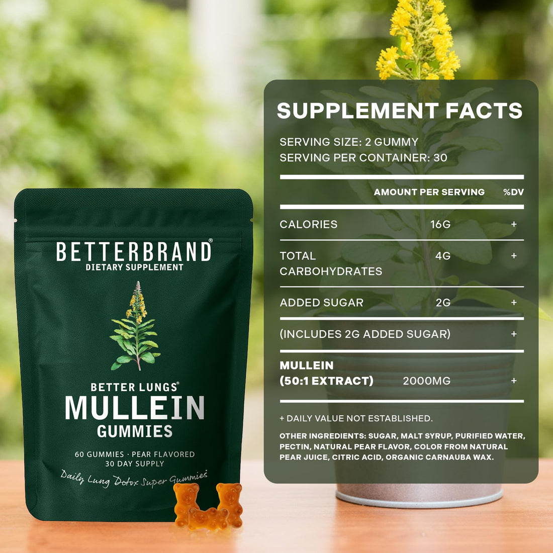 Betterbrand Mullein Chewable Gummies for Lung Cleanse and Detox, Respiratory Health Supplement, 1000mg Mullein Extract per Serving, 60 Gummies - OzHealthStandard