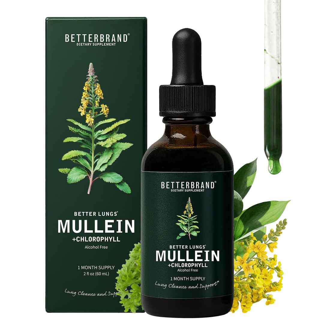 Betterbrand Mullein Drops for Lung Detox - Mullein Leaf Tincture with Chlorophyll - Helps Support Respiratory Health - OzHealthStandard