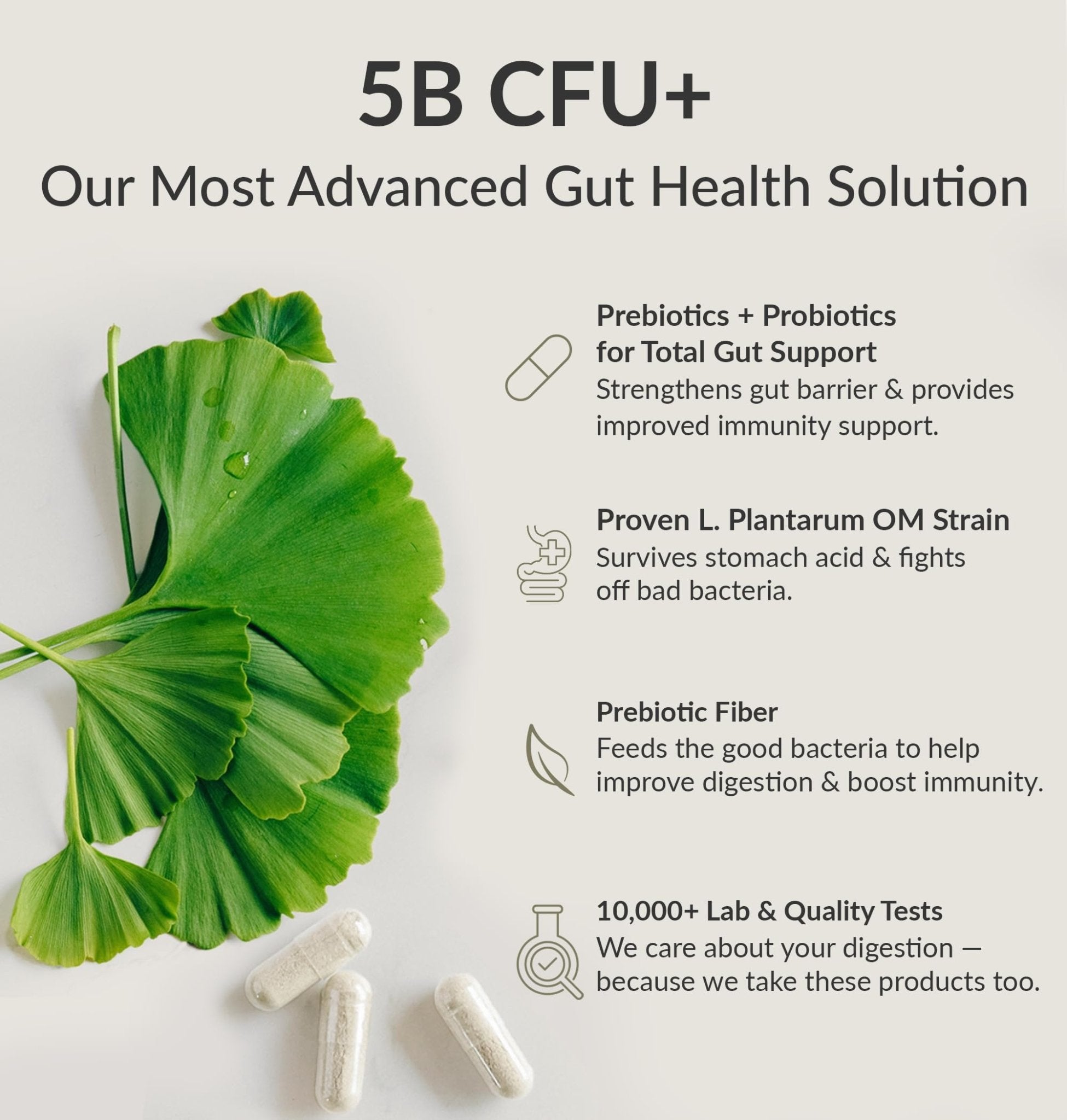 BIOptimizers Probiotic Breakthrough – Lactobacillus Plantarum OM Probiotics & Prebiotics Health Supplement for Gut, Digestive & Immune Support Probiotics for Women Men Elderly– 30 Vegan Capsules - OzHealthStandard