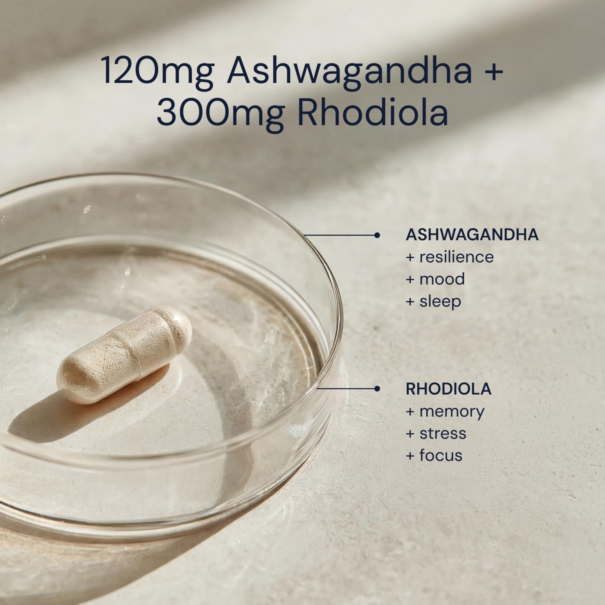 Blueprint Bryan Johnson Ashwagandha & Rhodiola Supplement – 120mg Ashwagandha + Rhodiola Root – Daily Adaptogen Capsules for Stress Support, Mood Balance, Energy & Focus – 30 Vegan Capsules - OzHealthStandard