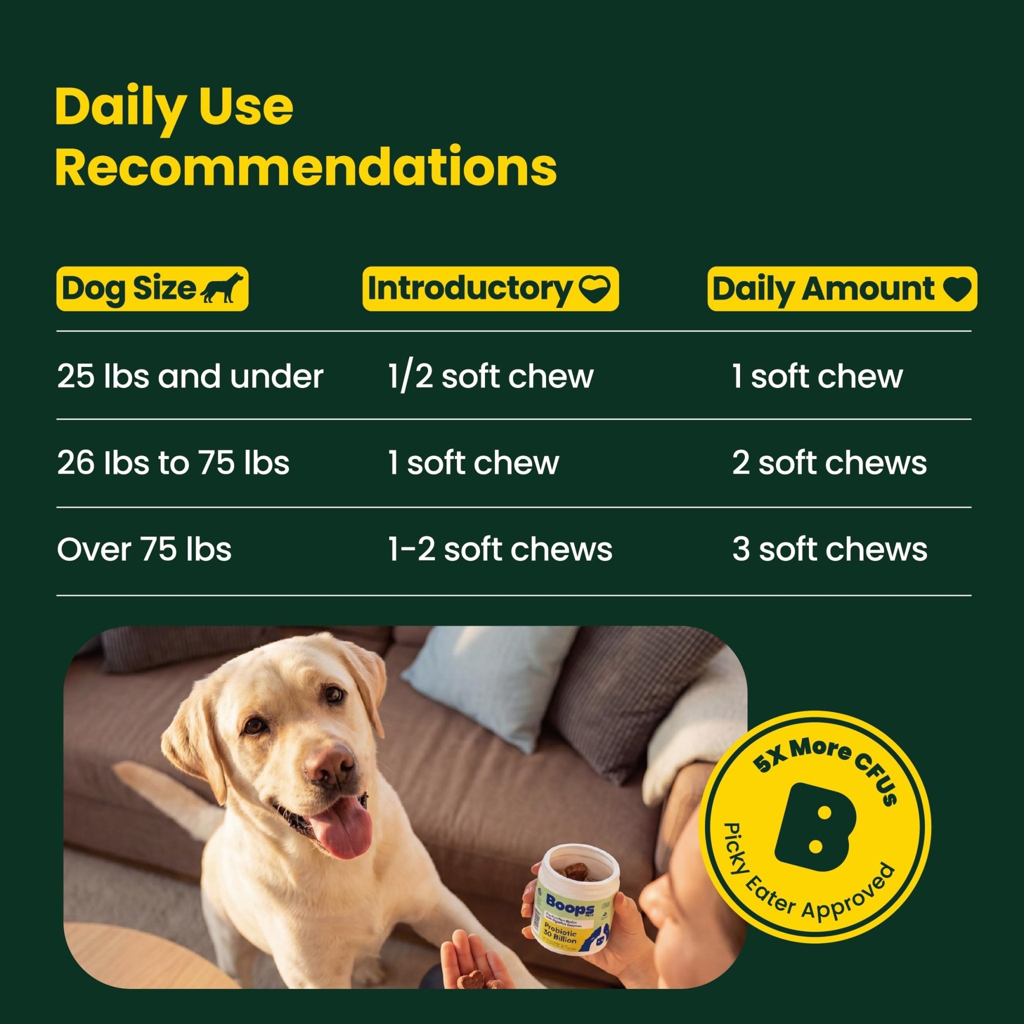 Boops Pets Probiotics for Dogs – 30 Billion CFU with Pre, Postbiotics & Digestive Enzymes – Supports Gut Health, Immunity, Loose Stools & Allergies – Filet Mignon Flavor – Vet Formulated – 60 Chews - OzHealthStandard