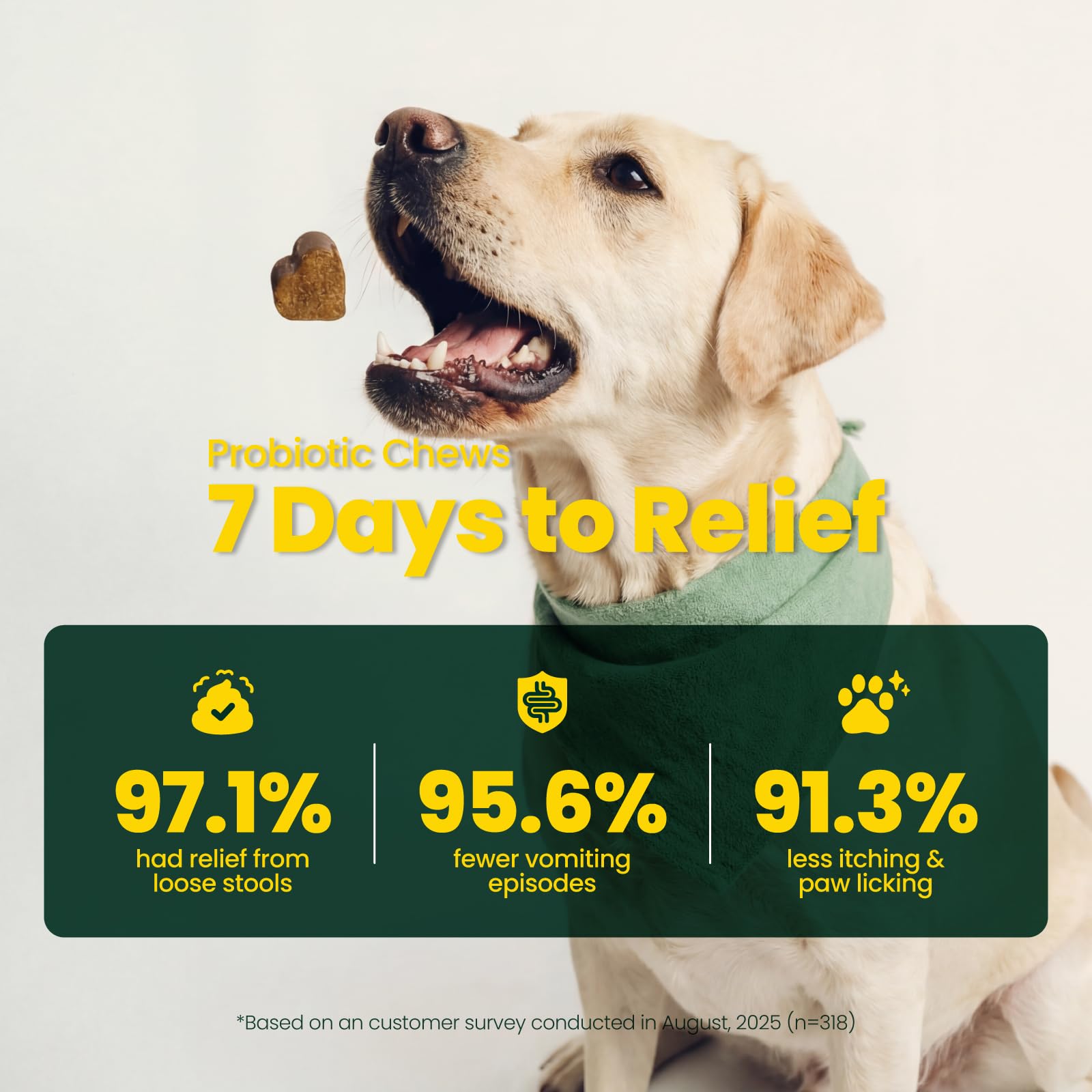 Boops Pets Probiotics for Dogs – 30 Billion CFU with Pre, Postbiotics & Digestive Enzymes – Supports Gut Health, Immunity, Loose Stools & Allergies – Filet Mignon Flavor – Vet Formulated – 60 Chews - OzHealthStandard