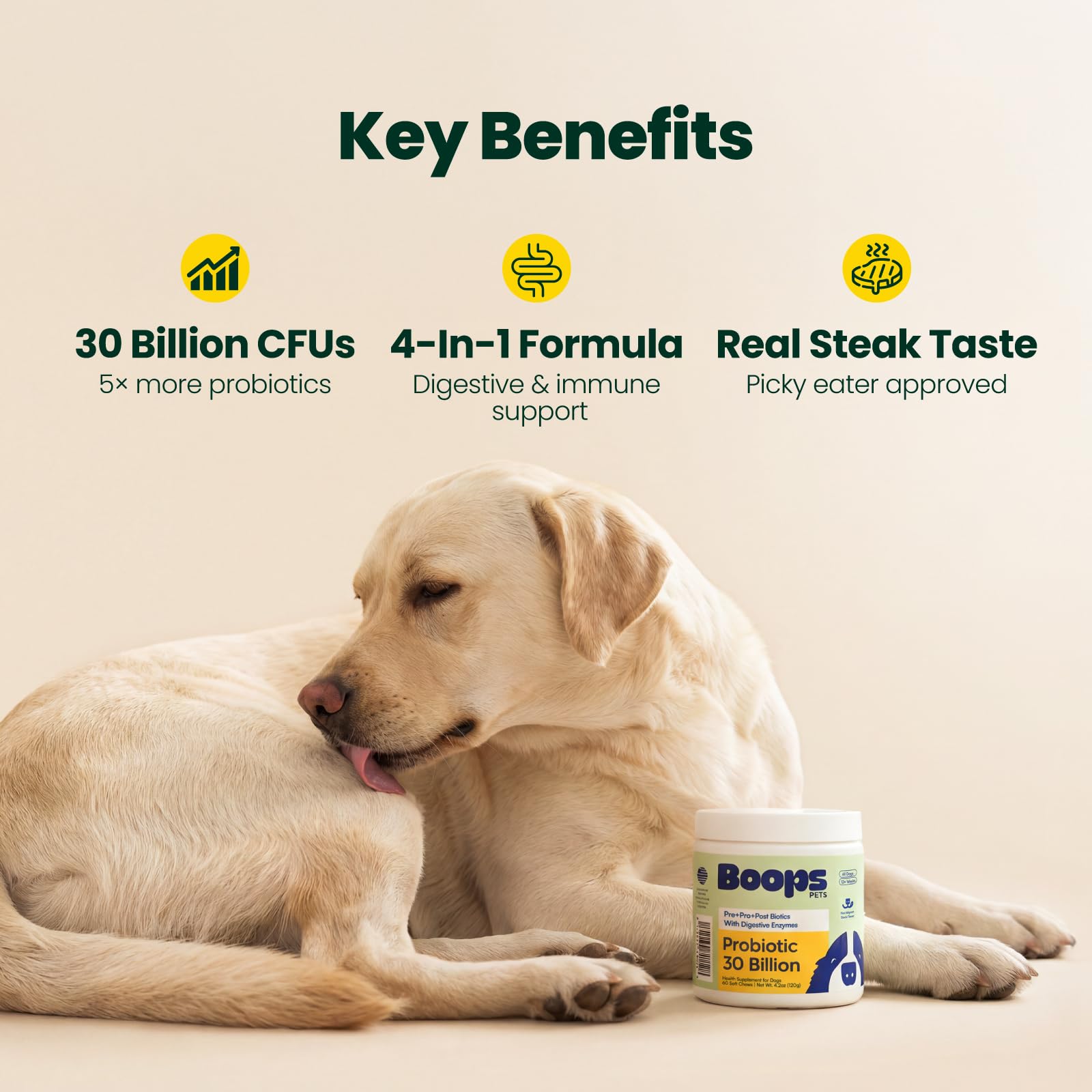 Boops Pets Probiotics for Dogs – 30 Billion CFU with Pre, Postbiotics & Digestive Enzymes – Supports Gut Health, Immunity, Loose Stools & Allergies – Filet Mignon Flavor – Vet Formulated – 60 Chews - OzHealthStandard