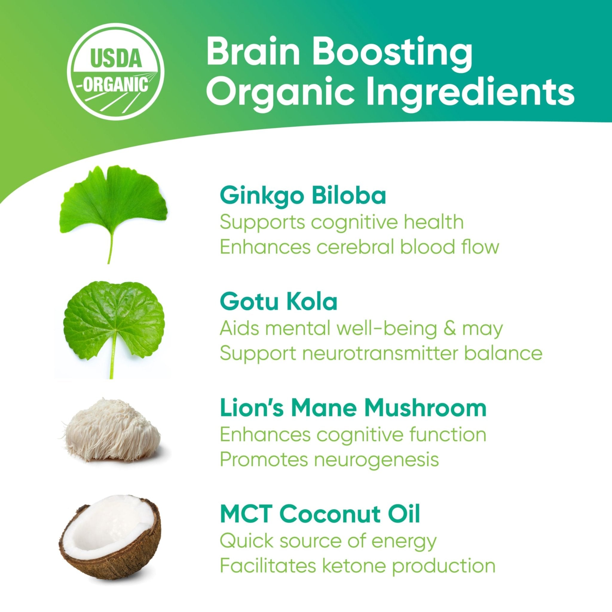 Brain Tea Focus & Memory - Brain Tea Organic Certified 4-in-1 Nootropic Herbal Supplement with Ginkgo Biloba, Gotu Kola, Lion’s Mane Mushroom, MCT Caffeine-Free for Mental Clarity (30 Sachets) - OzHealthStandard
