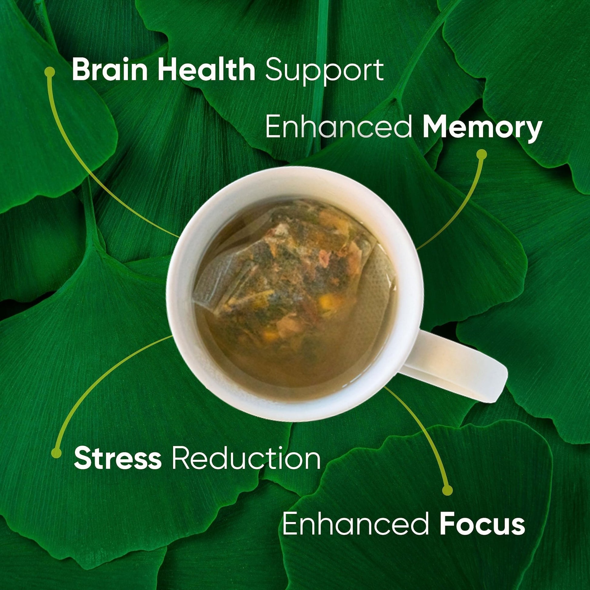 Brain Tea Focus & Memory - Brain Tea Organic Certified 4-in-1 Nootropic Herbal Supplement with Ginkgo Biloba, Gotu Kola, Lion’s Mane Mushroom, MCT Caffeine-Free for Mental Clarity (30 Sachets) - OzHealthStandard