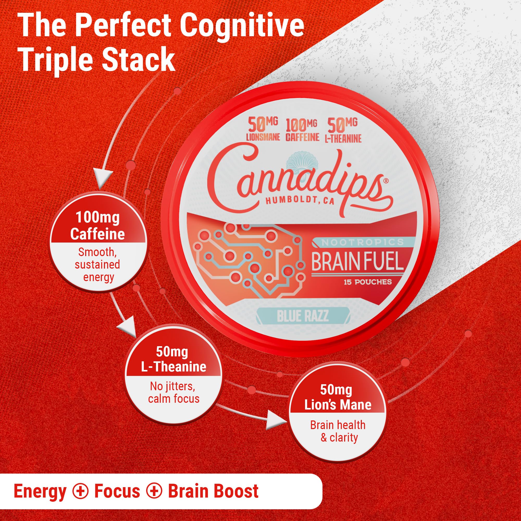 Cannadips - Brain Fuel Variety Pack - Nootropic Caffeine Pouches - 50mg Lion's Mane, 100mg Caffeine, 50mg L-Theanine, No Sugar - Clean Energy Brain Fuel for Cognitive Performance, Made in USA (5-PACK) - OzHealthStandard