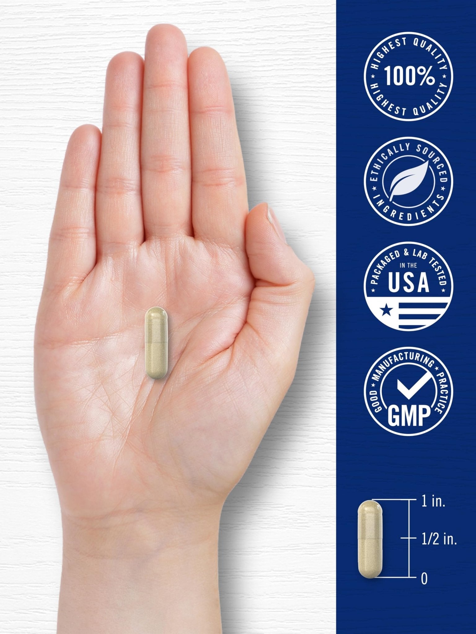 Carlyle Cortisol Supplement | 60 Vegan Capsules | Ashwagandha & Magnesium Complex | Non-GMO, Gluten Free - OzHealthStandard
