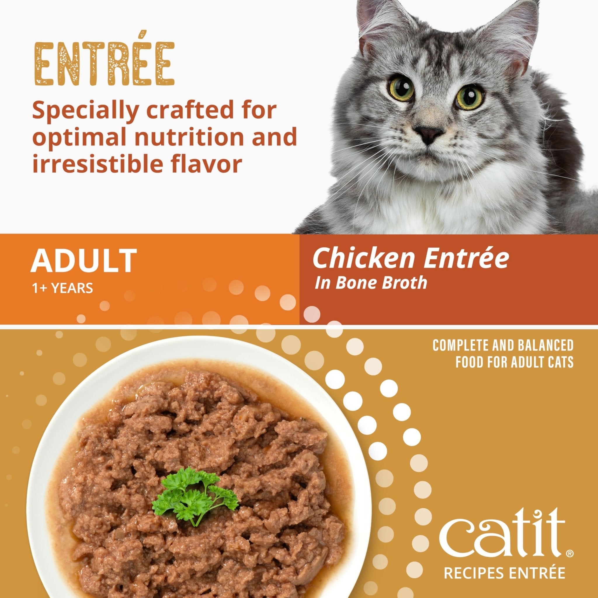 Catit Recipes Adult Chicken Entrée – High-Protein Wet Cat Food with Bone Broth Hydration, Prebiotics & Postbiotics for Gut Health, Omega-3 for Skin & Coat, and Taurine for Heart Support 3oz (12/cs) - OzHealthStandard
