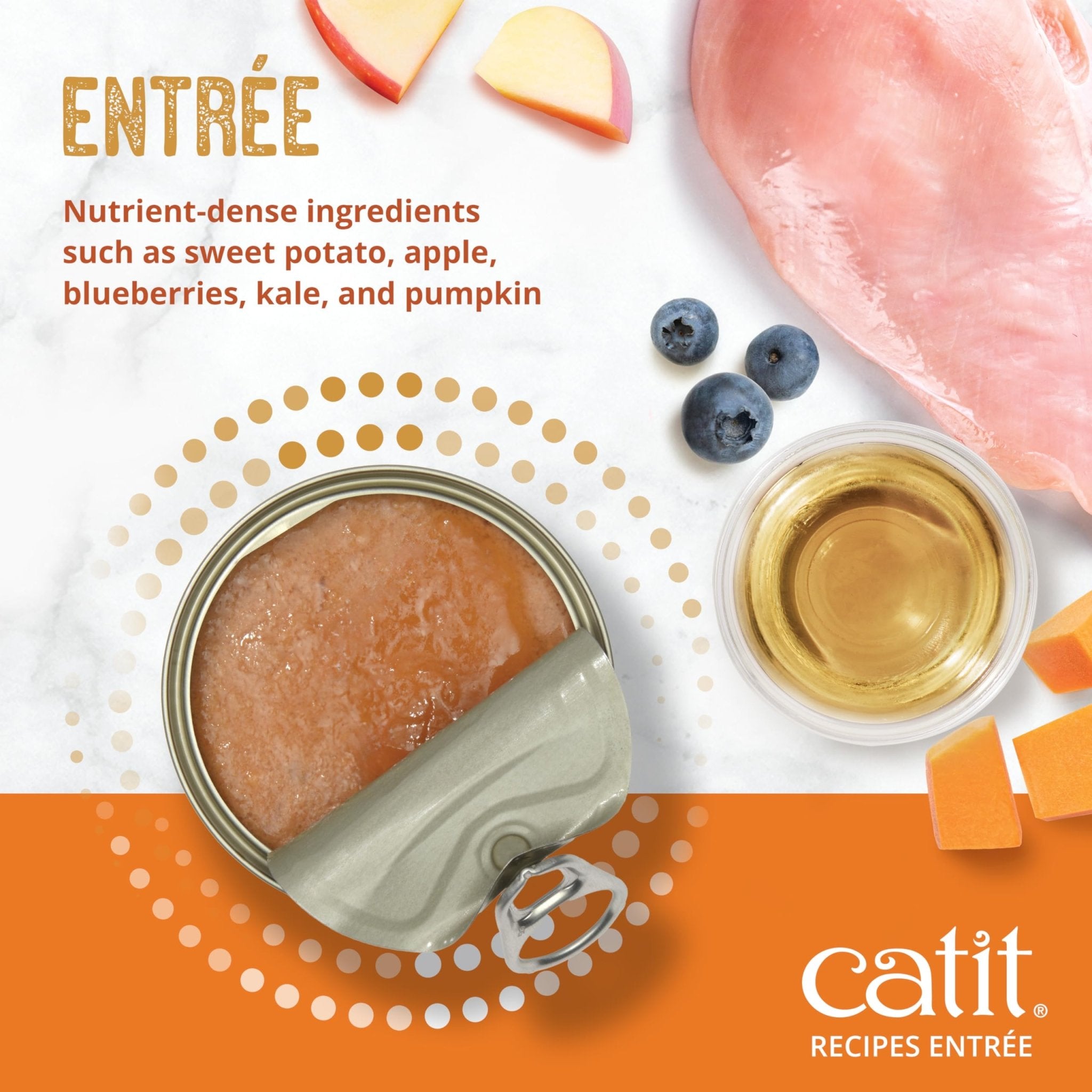 Catit Recipes Adult Chicken Entrée – High-Protein Wet Cat Food with Bone Broth Hydration, Prebiotics & Postbiotics for Gut Health, Omega-3 for Skin & Coat, and Taurine for Heart Support 3oz (12/cs) - OzHealthStandard