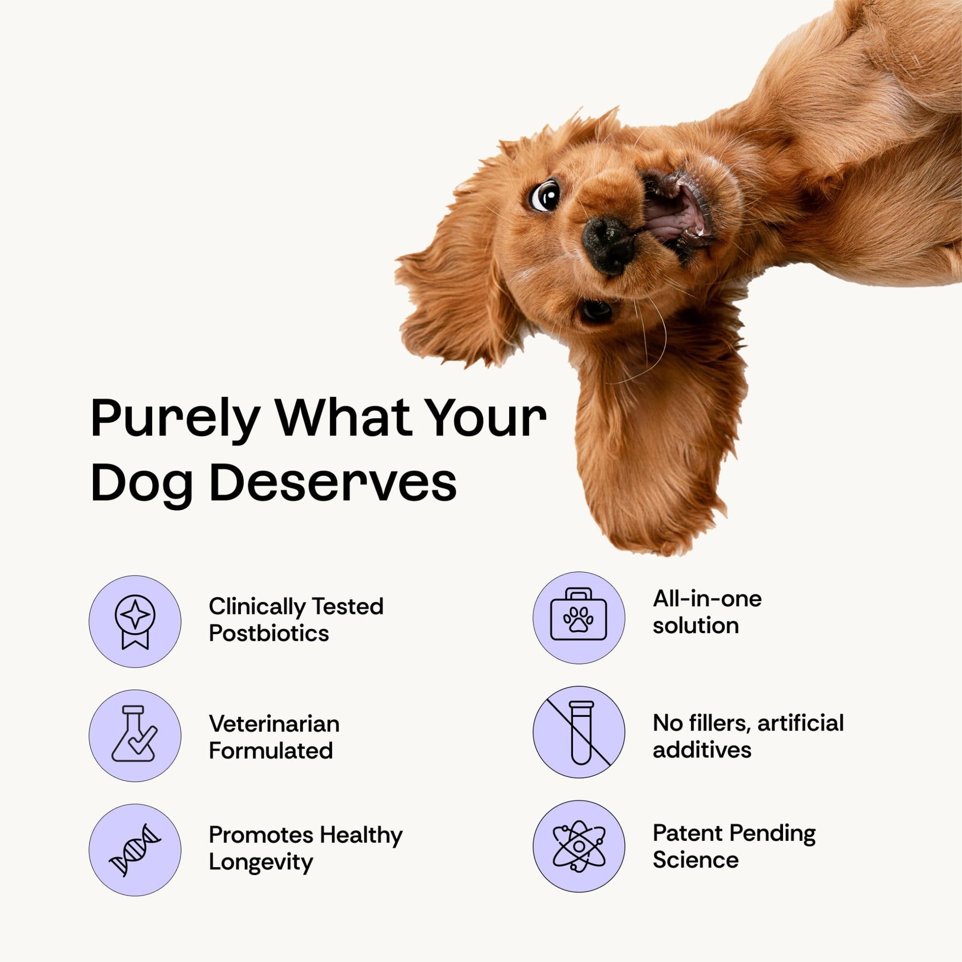 Daily Prebiotic + Postbiotic Dog Supplement Powder | 12-in-1 Support for Gut, Joints, Allergy, Immunity, Calming & Oral Health | Human-Grade Ingredients, No Artificial Flavors-No Fillers - 30 Sachets - OzHealthStandard