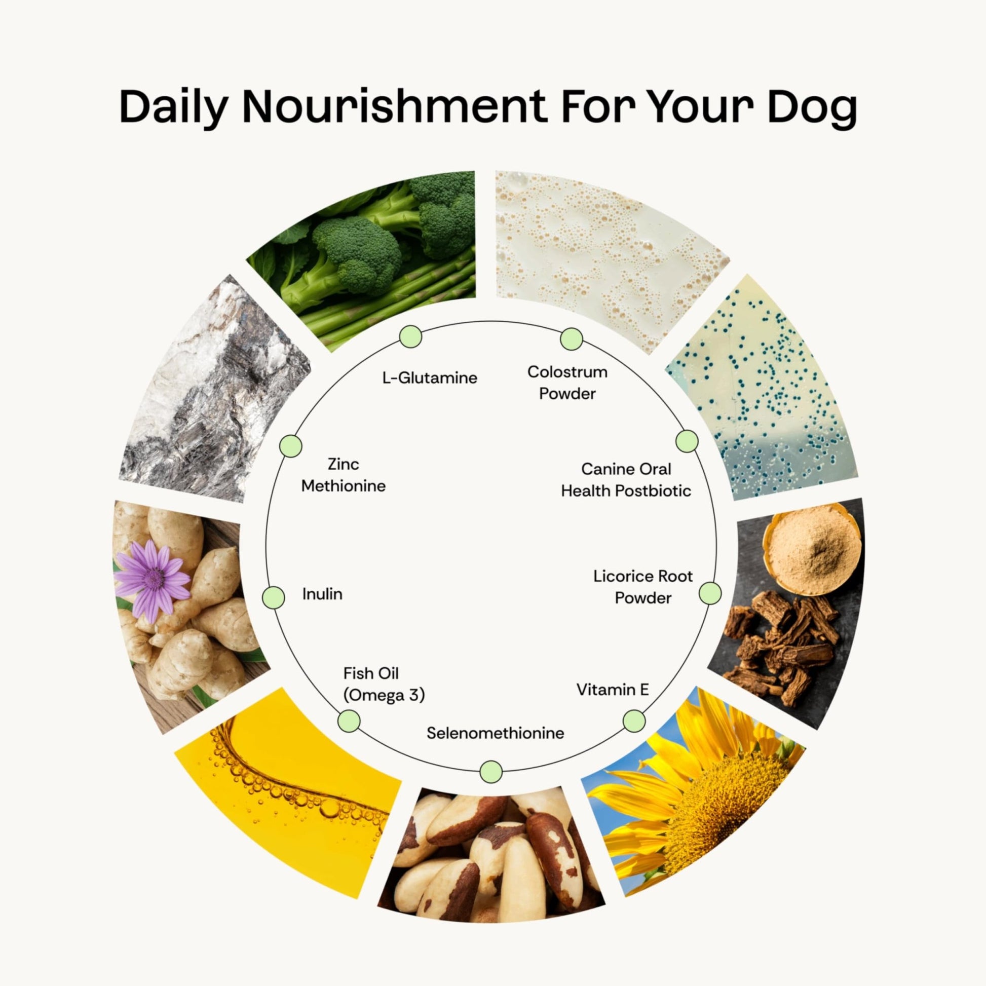 Daily Prebiotic + Postbiotic Dog Supplement Powder | 12-in-1 Support for Gut, Joints, Allergy, Immunity, Calming & Oral Health | Human-Grade Ingredients, No Artificial Flavors-No Fillers - 30 Sachets - OzHealthStandard