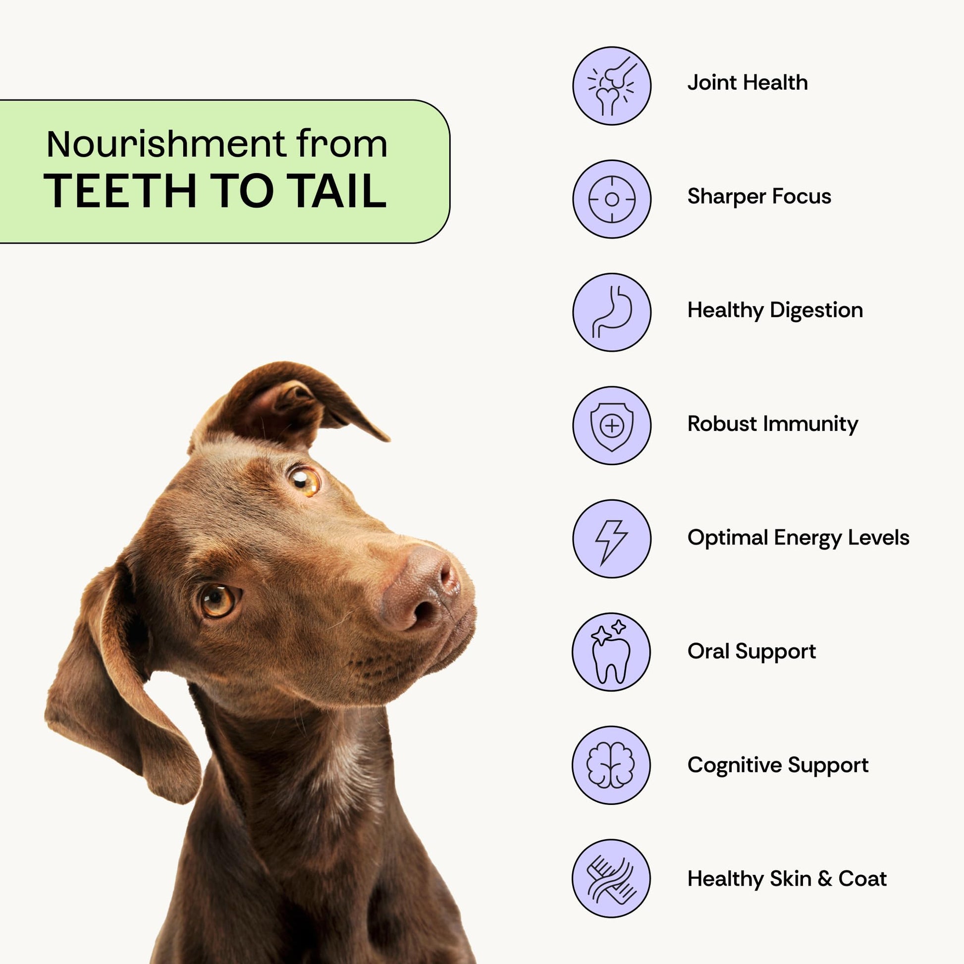 Daily Prebiotic + Postbiotic Dog Supplement Powder | 12-in-1 Support for Gut, Joints, Allergy, Immunity, Calming & Oral Health | Human-Grade Ingredients, No Artificial Flavors-No Fillers - 30 Sachets - OzHealthStandard