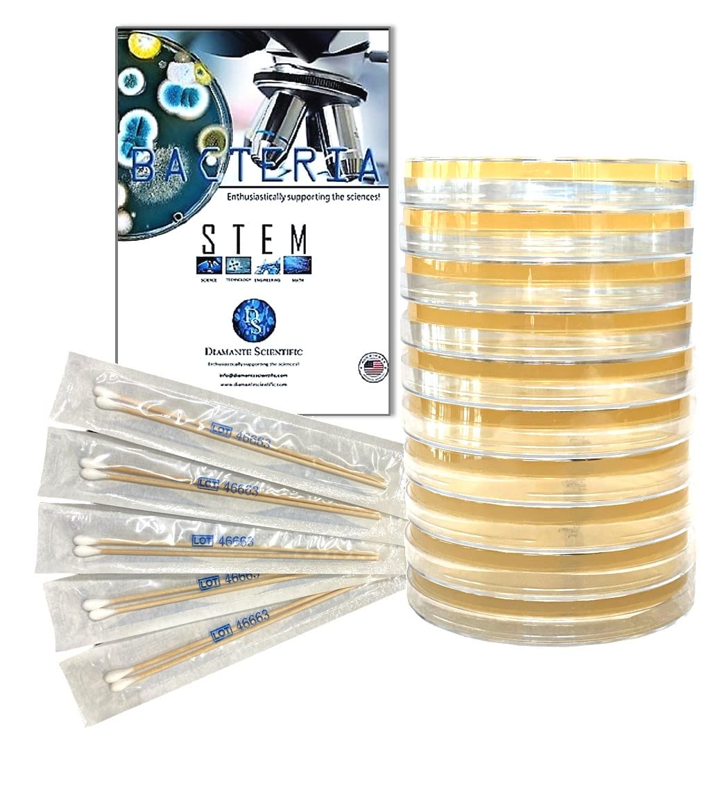 Diamante Scientific Essential Bacteria Kit. Pre-Poured Agar Plates & Swabs. Perfect for Kids. Great for Learning About Microbiology. STEM Education. Experiment Guide eBook Included! - OzHealthStandard