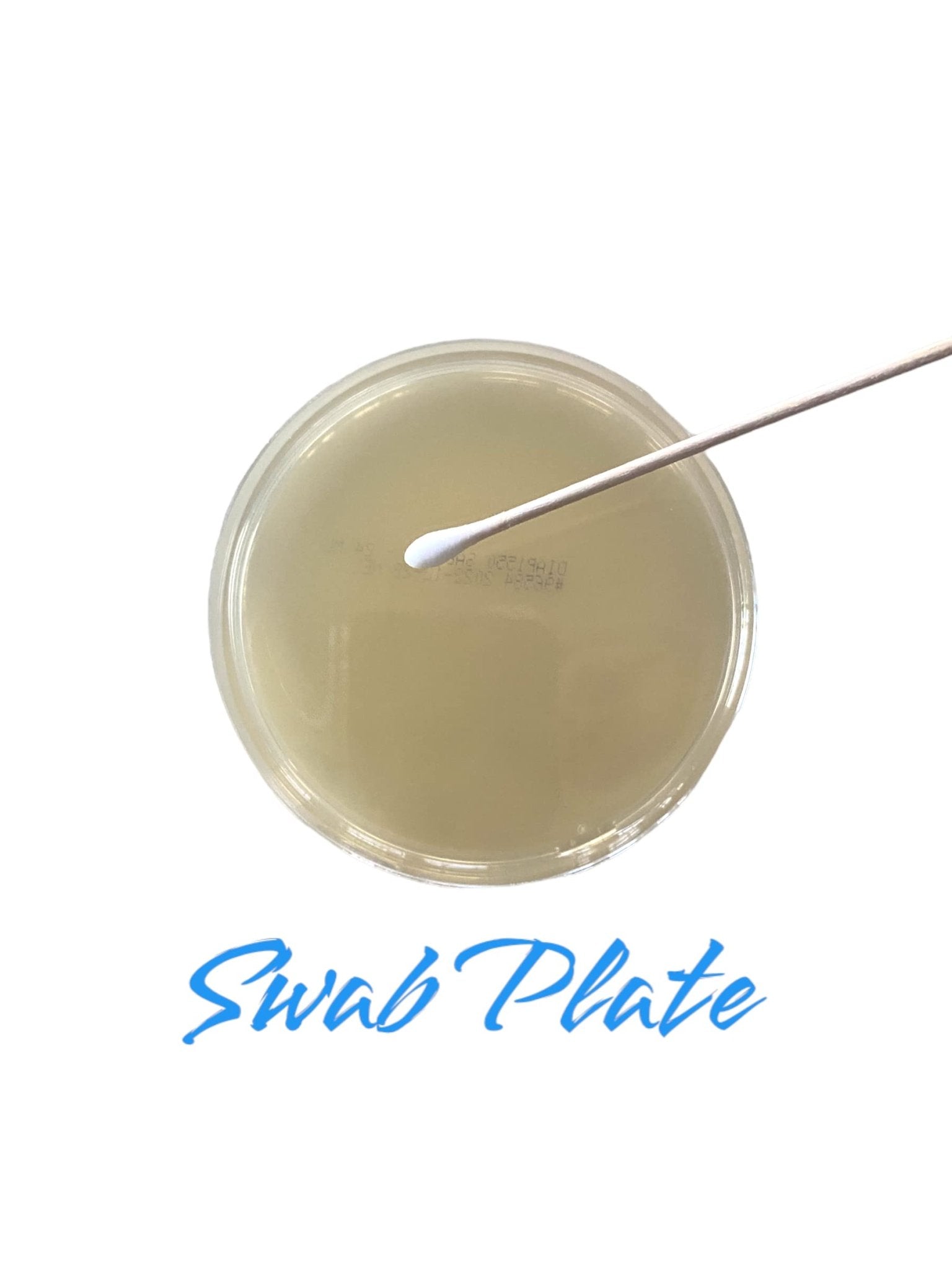 Diamante Scientific Essential Bacteria Kit. Pre-Poured Agar Plates & Swabs. Perfect for Kids. Great for Learning About Microbiology. STEM Education. Experiment Guide eBook Included! - OzHealthStandard
