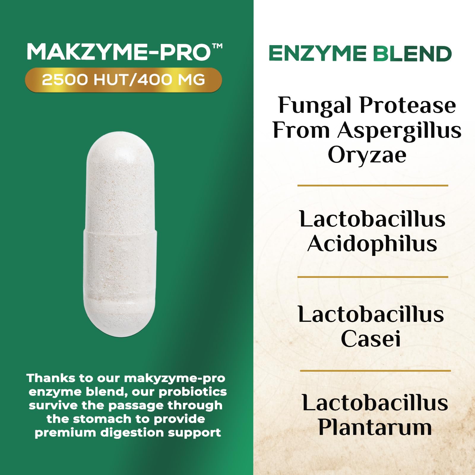 Digestive Enzymes - Super Digestive Multi Enzyme Complex for Bloating & Gut Health Support with Bromelain, Papain, Probiotics & Prebiotics - Digestion Health - OzHealthStandard
