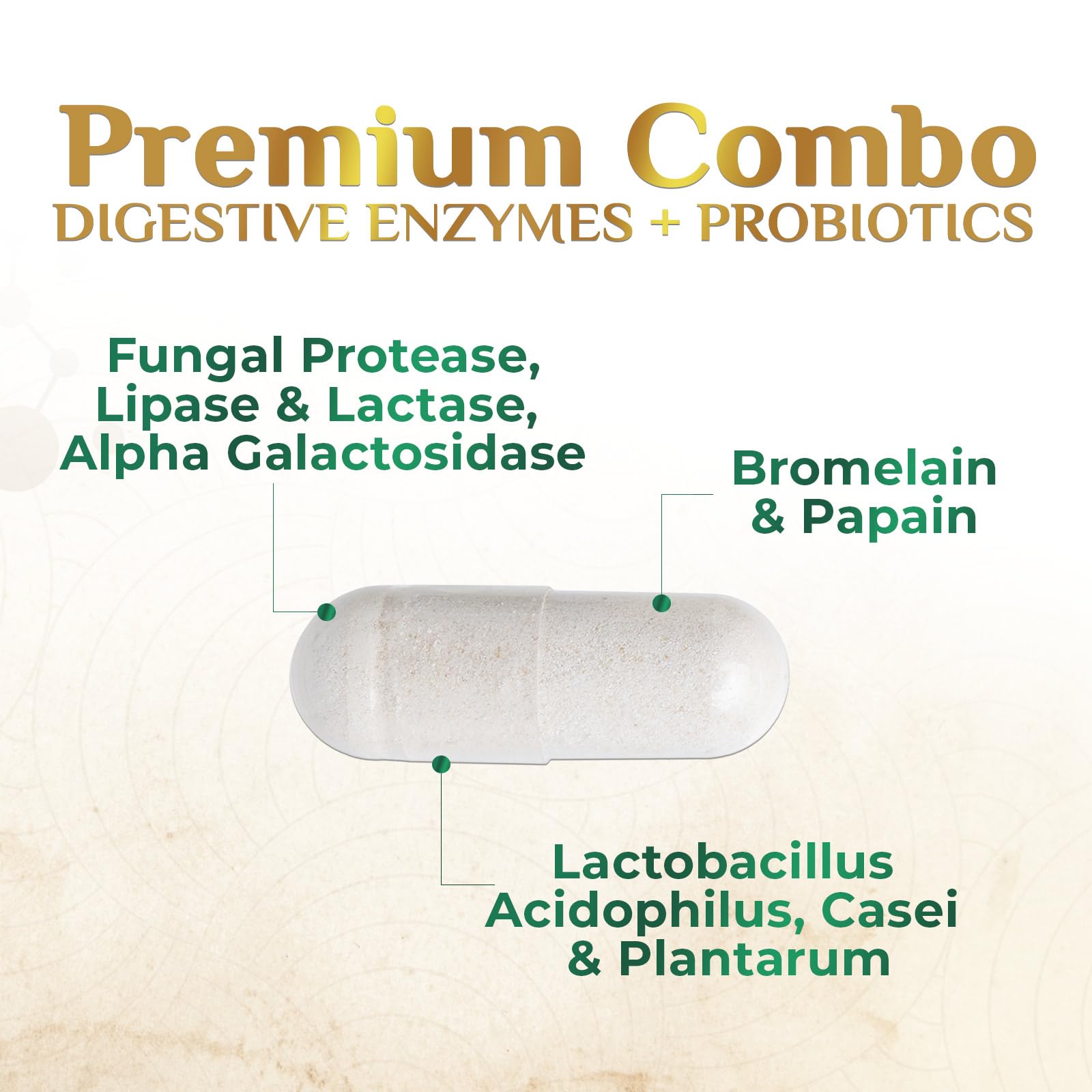 Digestive Enzymes - Super Digestive Multi Enzyme Complex for Bloating & Gut Health Support with Bromelain, Papain, Probiotics & Prebiotics - Digestion Health - OzHealthStandard