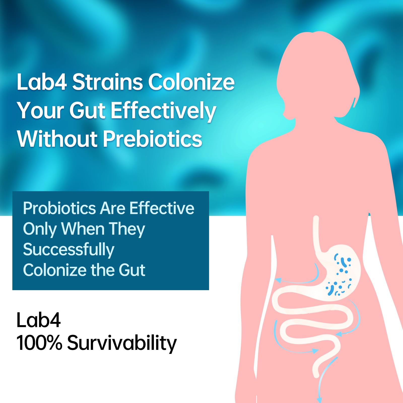 Digestive Probiotics 20X Lab4 Strains for Gut & Immune Health, Pro Formula for Men & Women, Probiotic Capsules Support Diarrhea, Bloating and Gas, Shelf Stable, Vegan, Gluten Free, 60 Days Supply - OzHealthStandard