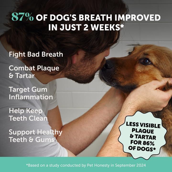 Dog Breath Freshener Dental Powder for Teeth Cleaning Plaque Off, Dental Care for Dogs, Tartar Remover for Teeth with Natural Herbal Blend + Postbiotics (Mint - 30 Servings) - OzHealthStandard