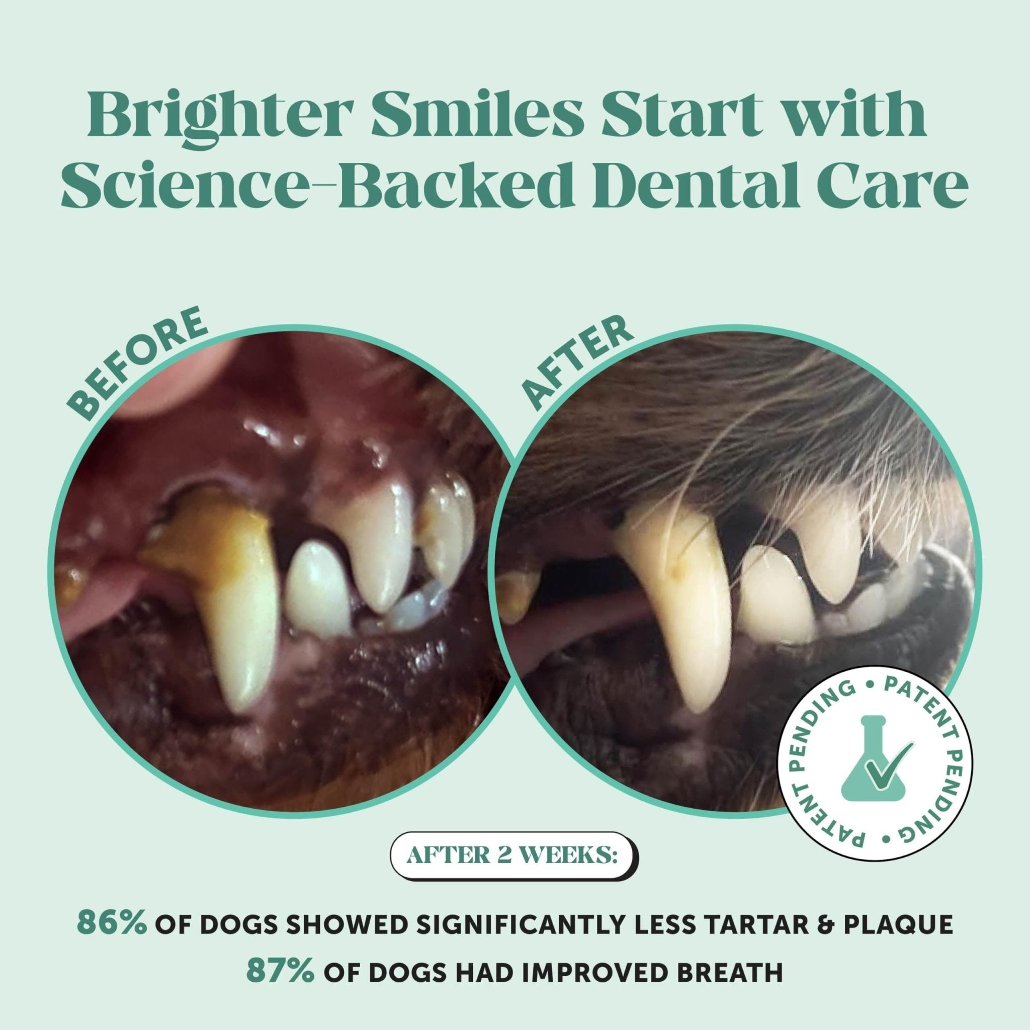 Dog Breath Freshener Dental Powder for Teeth Cleaning Plaque Off, Dental Care for Dogs, Tartar Remover for Teeth with Natural Herbal Blend + Postbiotics (Mint - 30 Servings) - OzHealthStandard