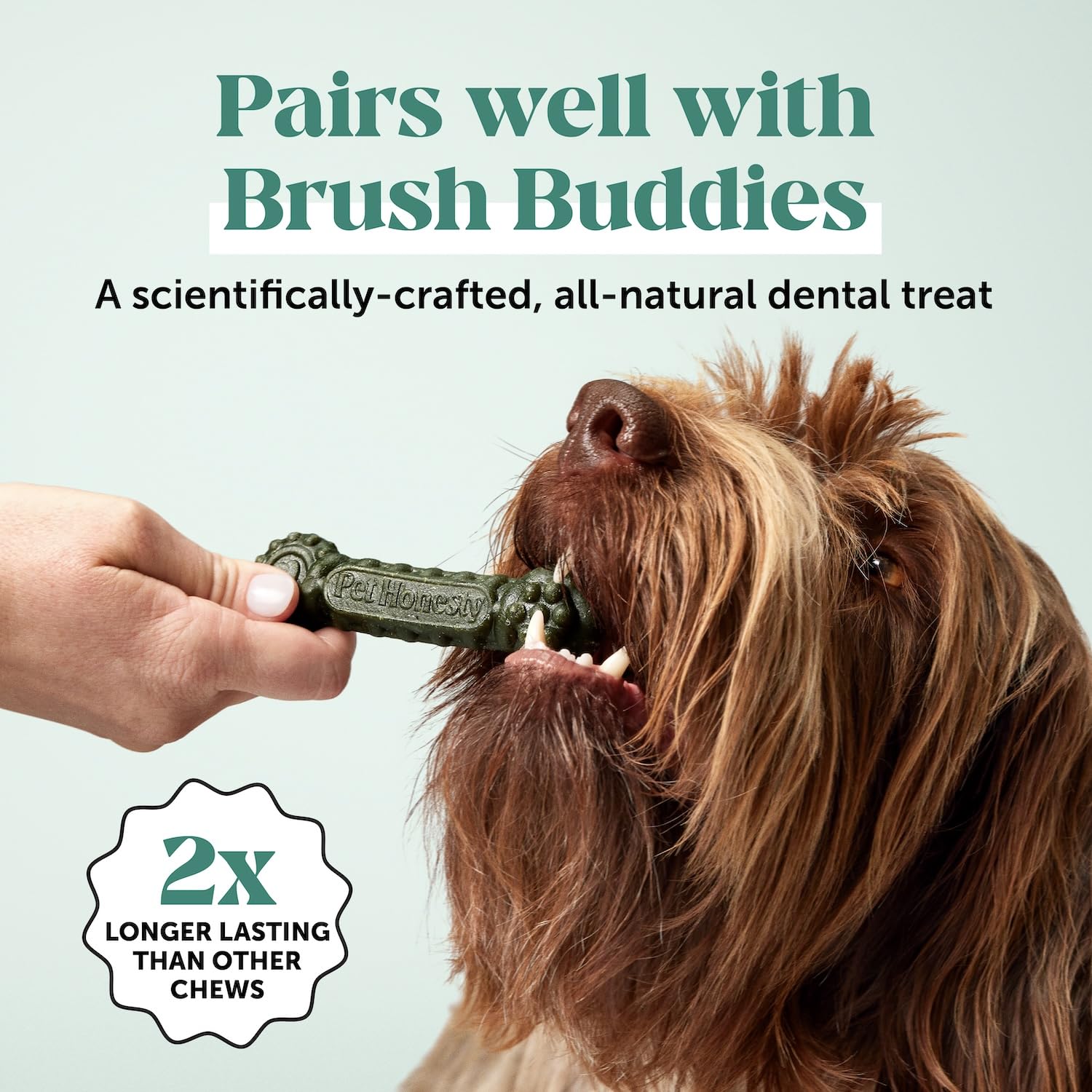 Dog Breath Freshener Dental Powder for Teeth Cleaning Plaque Off, Dental Care for Dogs, Tartar Remover for Teeth with Natural Herbal Blend + Postbiotics (Mint - 30 Servings) - OzHealthStandard