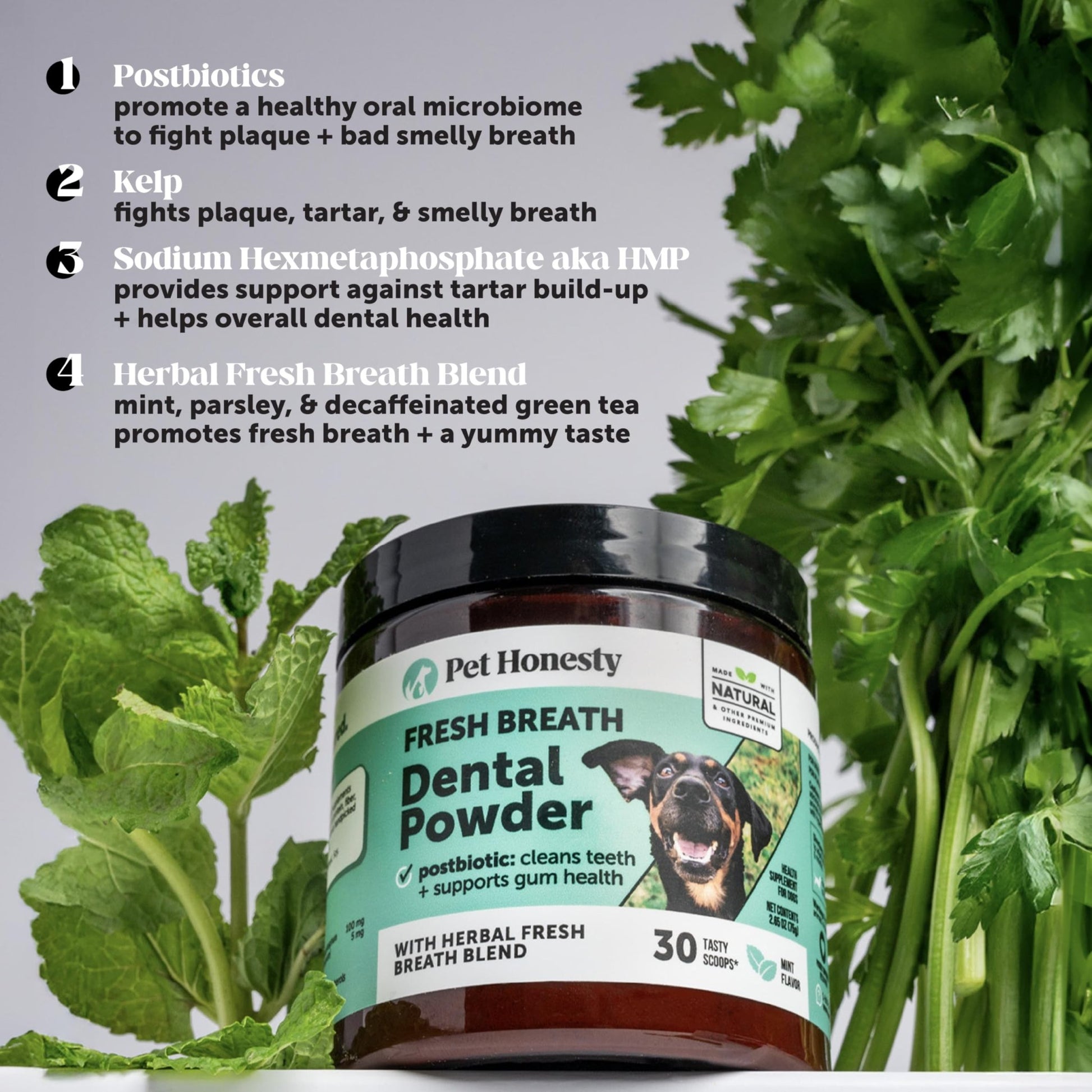 Dog Breath Freshener Dental Powder for Teeth Cleaning Plaque Off, Dental Care for Dogs, Tartar Remover for Teeth with Natural Herbal Blend + Postbiotics (Mint - 30 Servings) - OzHealthStandard