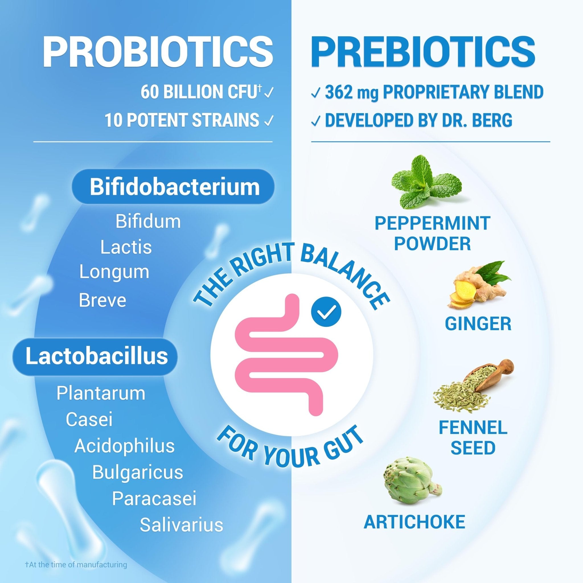 Dr. Berg Probiotic Supplement (60 Billion CFUs) - Helps Ease Occasional Constipation, Diarrhea, Gas & Bloating* - Pre and Probiotics for Digestive Health - 30 Probiotic Capsules - OzHealthStandard