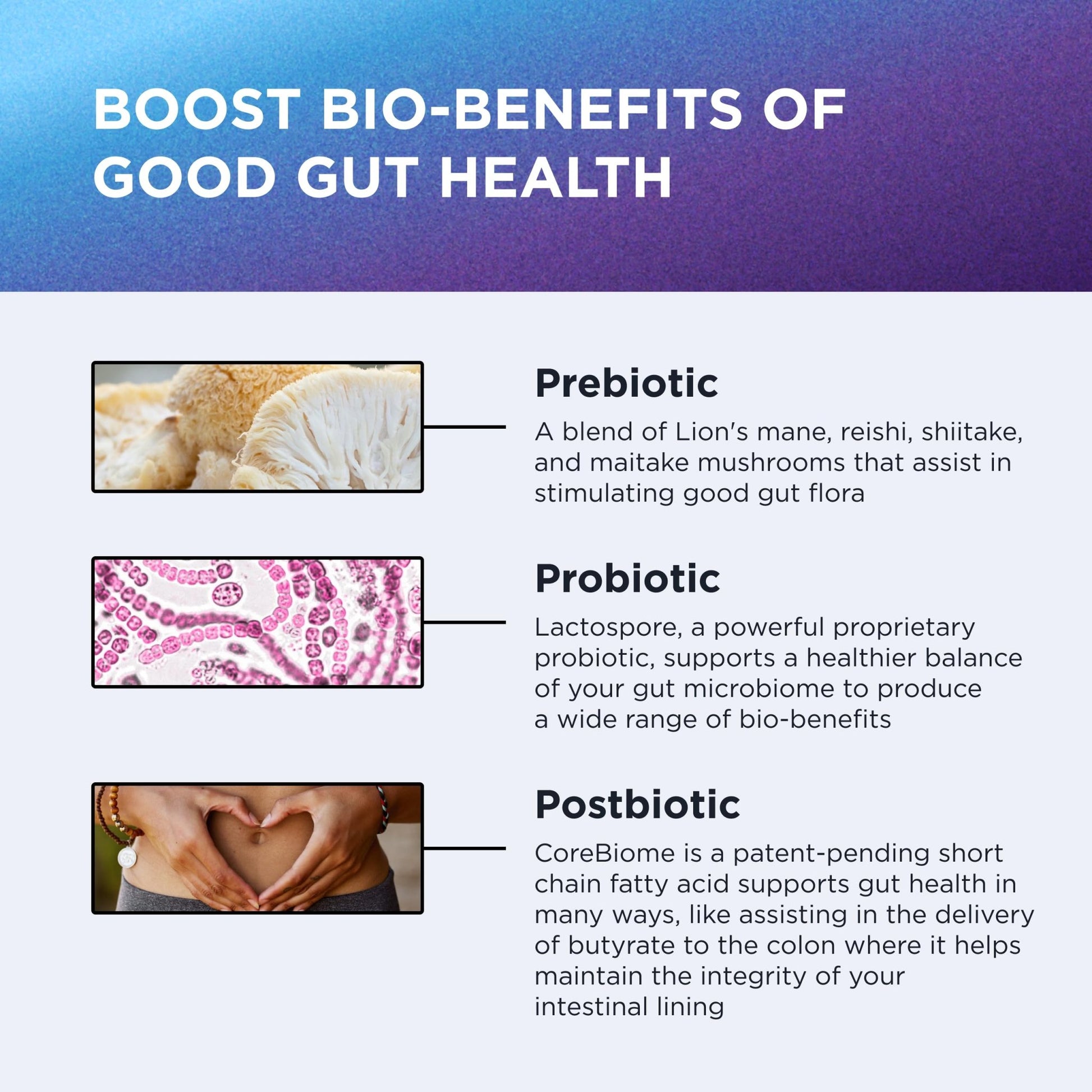 DR. EMIL NUTRITION Total Gut Health Complex - Prebiotic, Probiotic & Postbiotic Supplement - Supports Digestive Health, Bloating & Gut Balance - OzHealthStandard