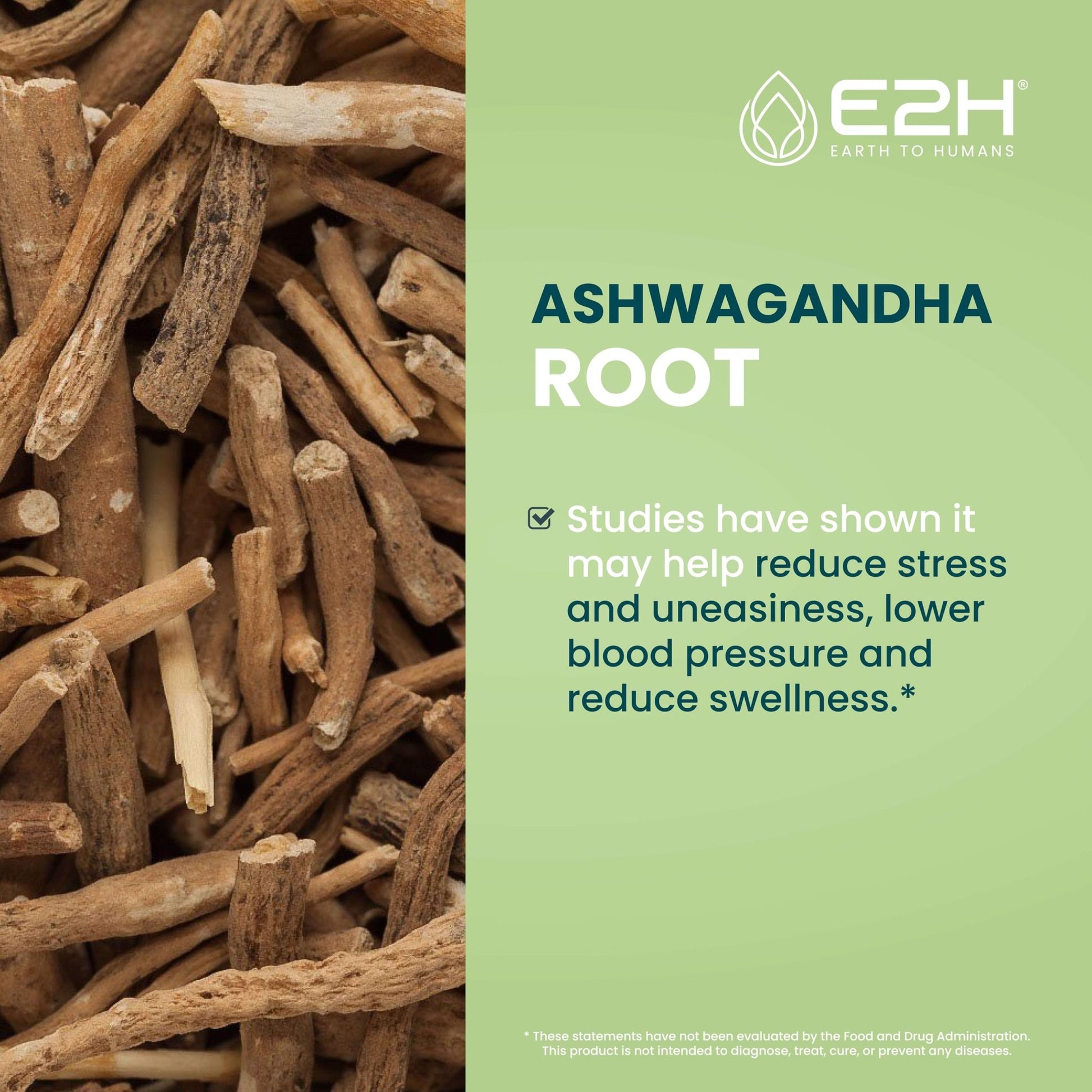 E2H Ashwagandha Liquid Drops - All-Natural Ashwagandha Supplement for Stress Relief and Mood Enhancer- Organic Ashwagandha Root Extract Effective Cortisol Manager | Non-GMO, Vegan | 2 Fl Oz - OzHealthStandard