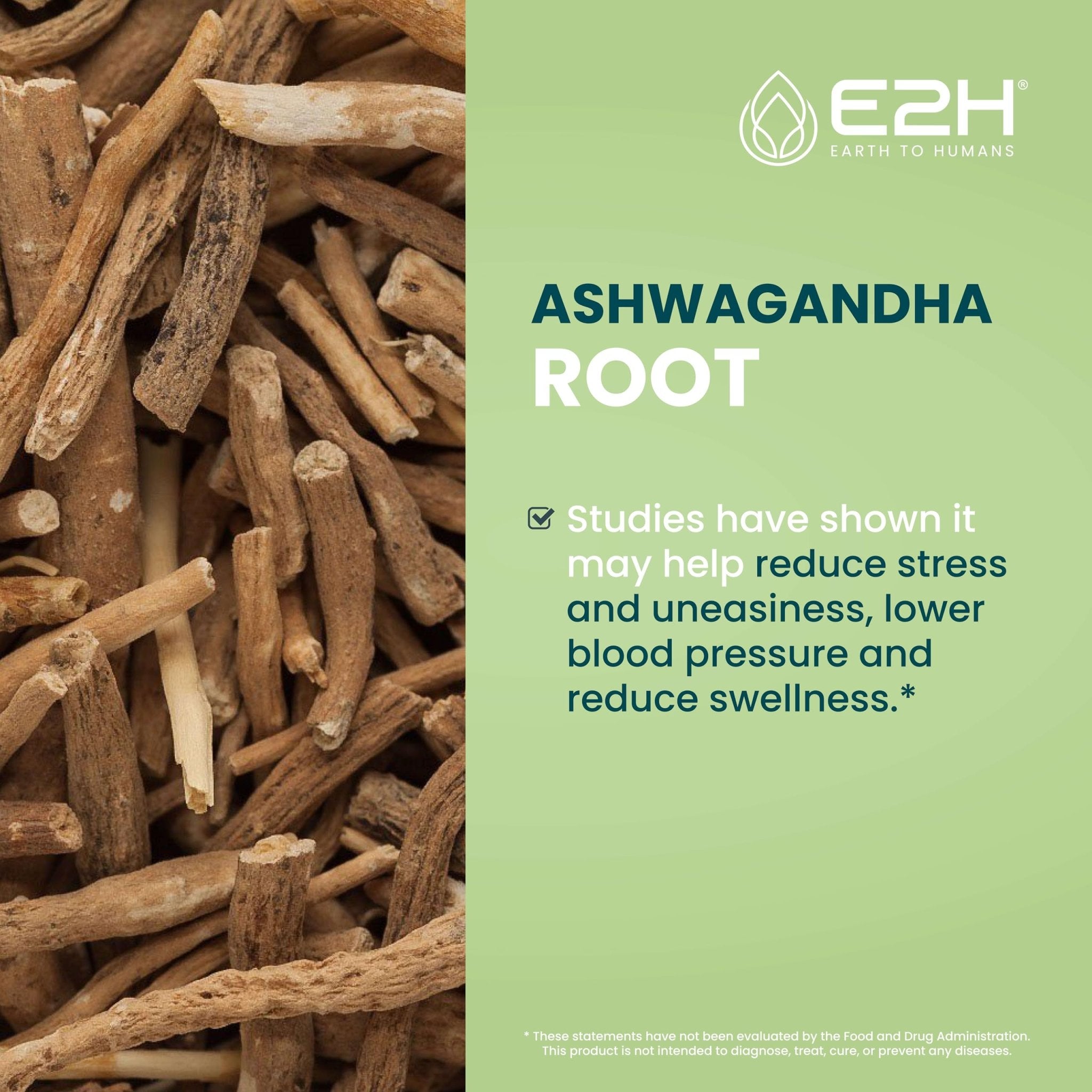 E2H Ashwagandha Liquid Drops - All-Natural Ashwagandha Supplement for Stress Relief and Mood Enhancer- Organic Ashwagandha Root Extract Effective Cortisol Manager | Non-GMO, Vegan | 2 Fl Oz - OzHealthStandard
