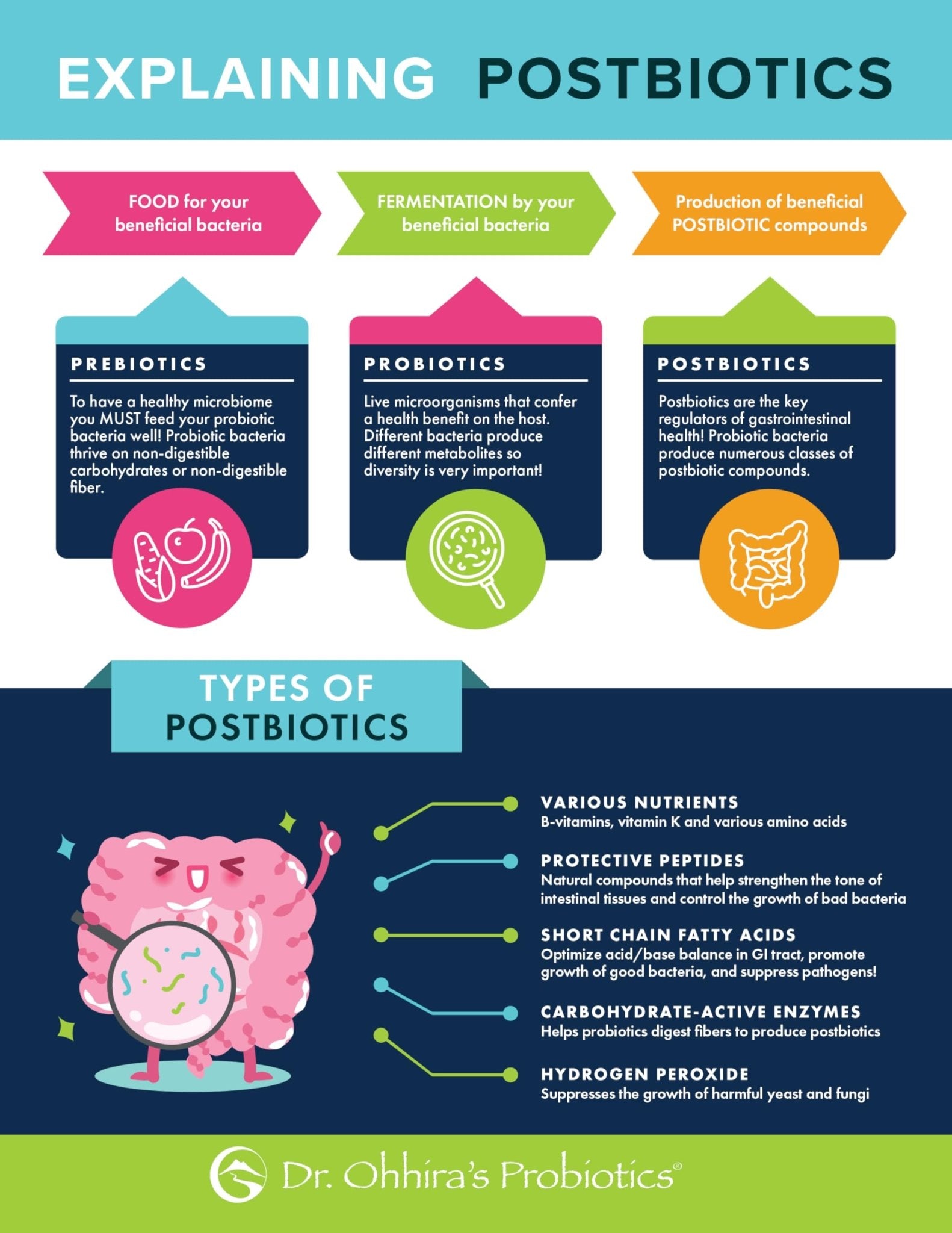 Essential Formulas Dr. Ohhira’s Probiotics Original Formula with 3 Year Fermented Prebiotics, Live Active Probiotics and The only Product with Postbiotic Metabolites, 60 Capsules - OzHealthStandard