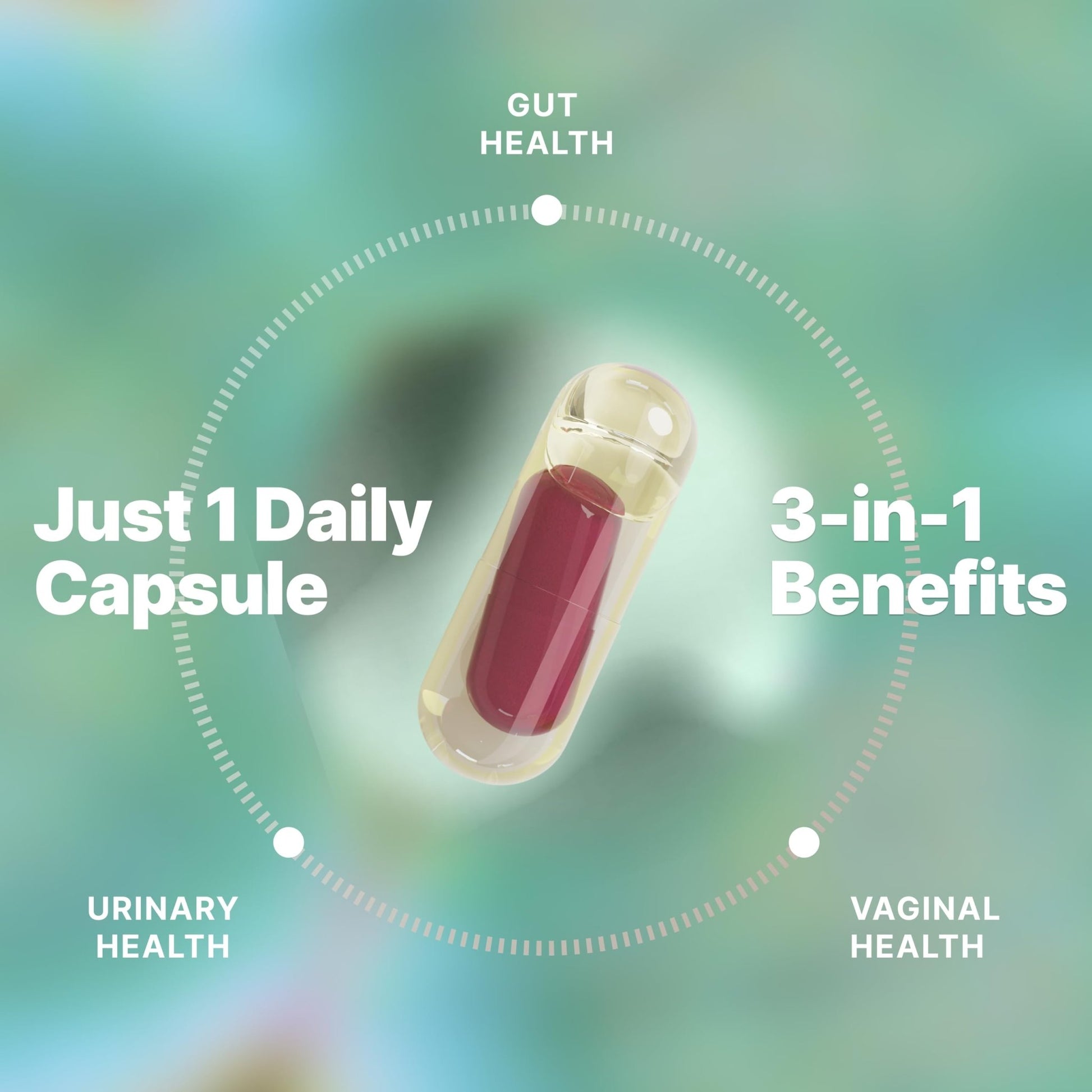 Evvy Women's 3-in-1 Complete Probiotic I Daily Probiotic Supplement to Reduce Bloating I Supports Gut, Urinary & Vaginal Health | Includes Vaginal Probiotics for Feminine Care | 30 Day Supply - OzHealthStandard