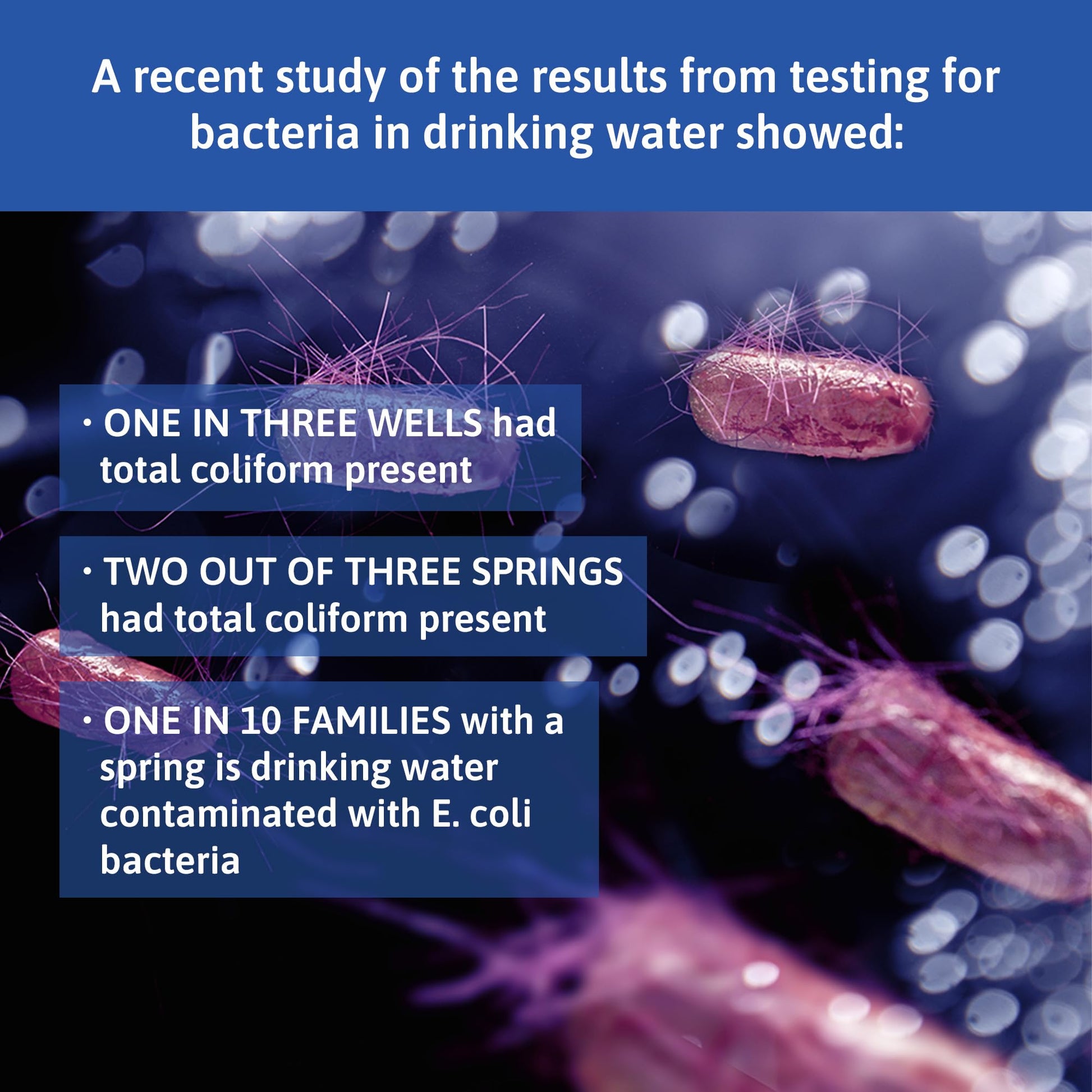 Exploro® Bacteria Water Test Kit, Pond Water Test Kit, Pool Water Testing Kit, Water Testing Kits for Drinking Water for Coliform (E. coli), EPA Approved Pool Test Kit (1 Pack) - OzHealthStandard