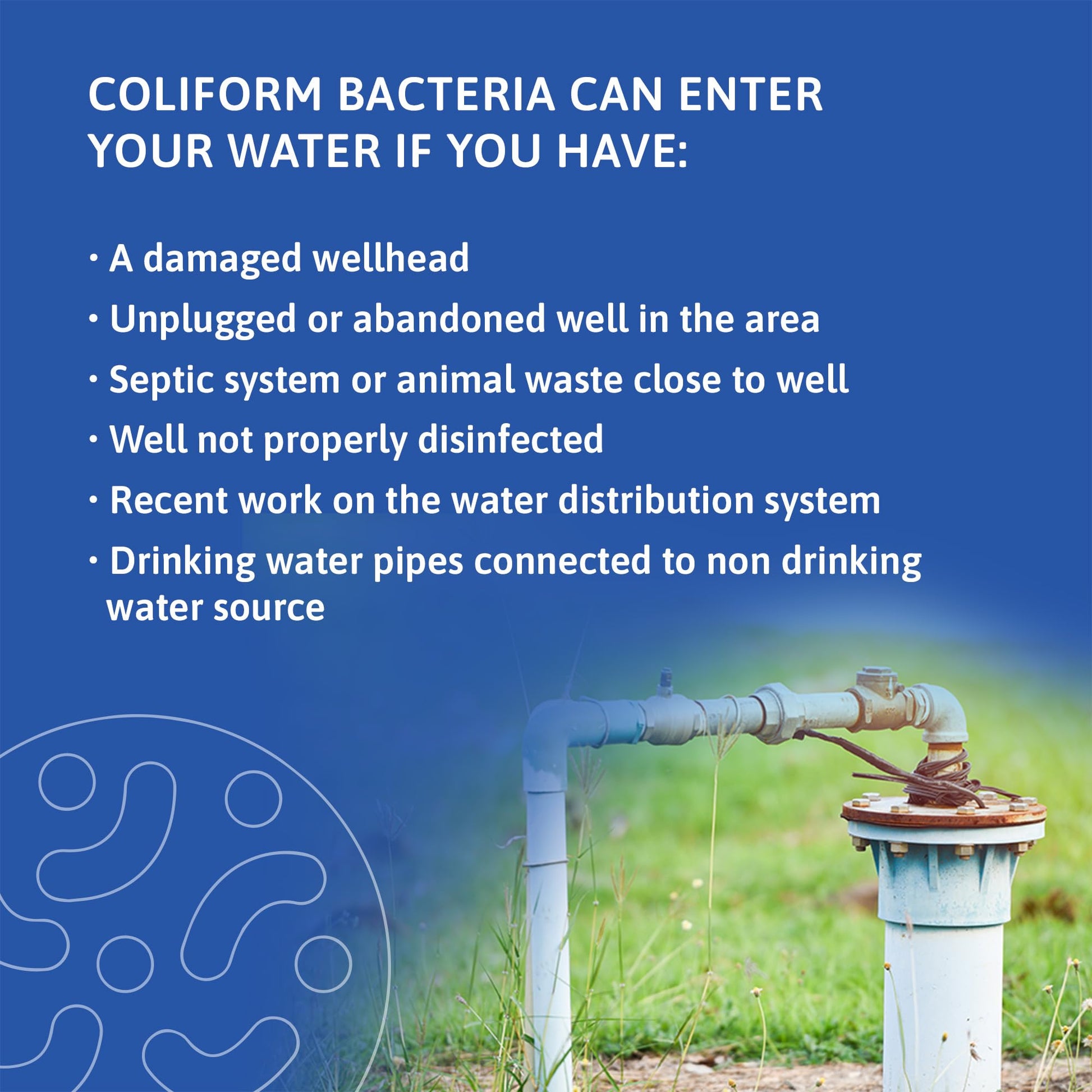 Exploro® Bacteria Water Test Kit, Pond Water Test Kit, Pool Water Testing Kit, Water Testing Kits for Drinking Water for Coliform (E. coli), EPA Approved Pool Test Kit (1 Pack) - OzHealthStandard