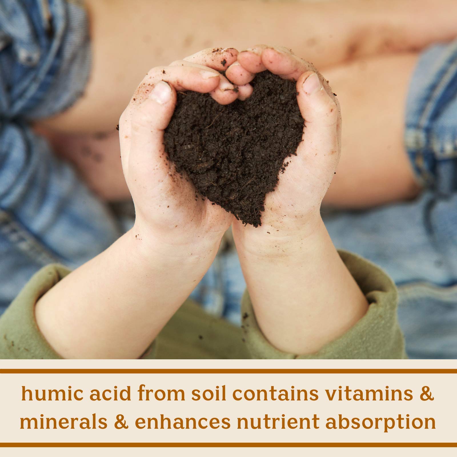 Feel Good SBO Probiotics — Soil Based Organisms (SBOs), Prebiotics, Postbiotics, Humic Acid, Shilajit, Chaga & Turkey Tail Mushroom for Digestion — Solluna by Kimberly Snyder (60CT) Vegan & Non-GMO - OzHealthStandard