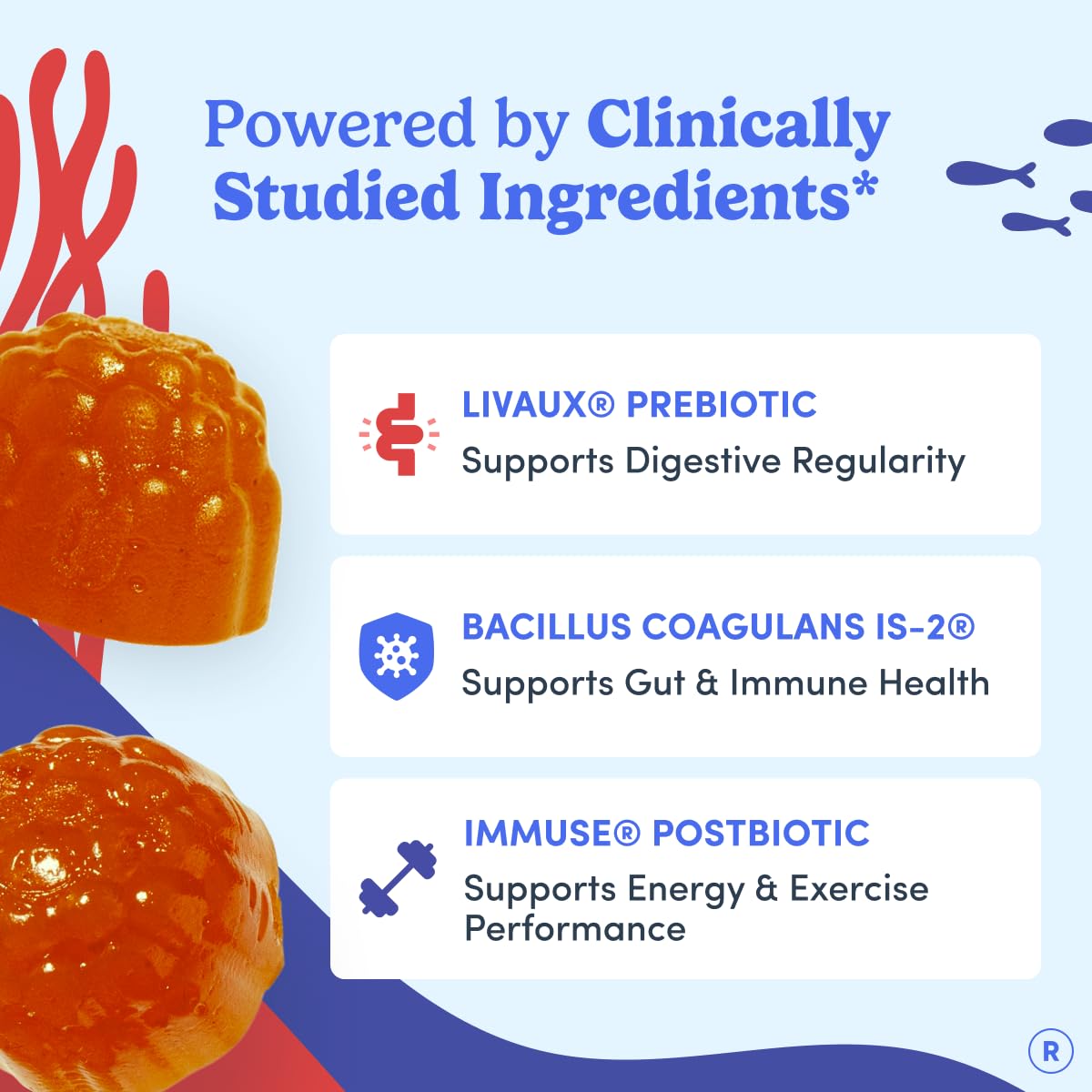 FIRST DAY 3 in 1 Probiotics for Men - Prebiotic, Probiotic & Postbiotic Supplement – Mens Probiotic for Digestive Health, Oral Health, Immune Function, Energy, Gut Health for Men – 30-Day Supply - OzHealthStandard