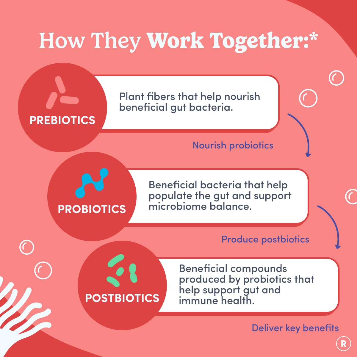 FIRST DAY Womens 3-in-1 Probiotic Gummies – Prebiotic + Probiotic + Postbiotic Supplement – Supports Digestive & Oral Health, Immune Function & Energy Levels – 30-Day Supply - OzHealthStandard