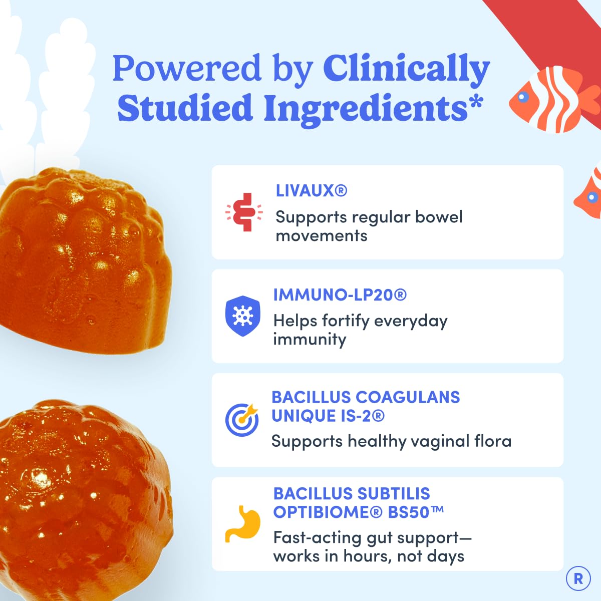 FIRST DAY Womens 3-in-1 Probiotic Gummies – Prebiotic + Probiotic + Postbiotic Supplement – Supports Digestive & Oral Health, Immune Function & Energy Levels – 30-Day Supply - OzHealthStandard